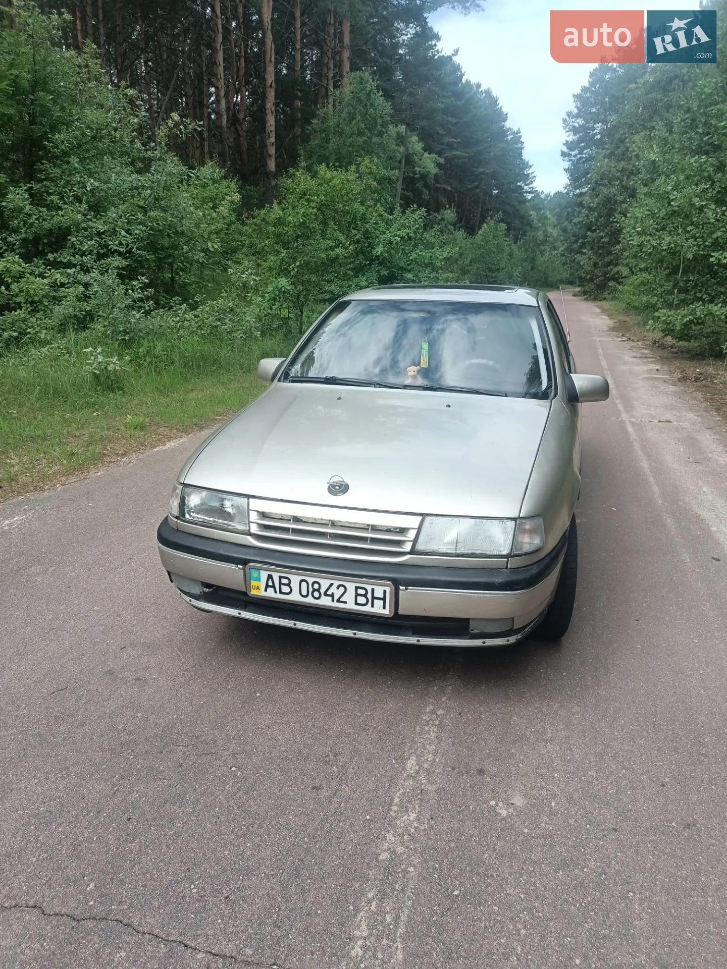 Opel Vectra, 1992