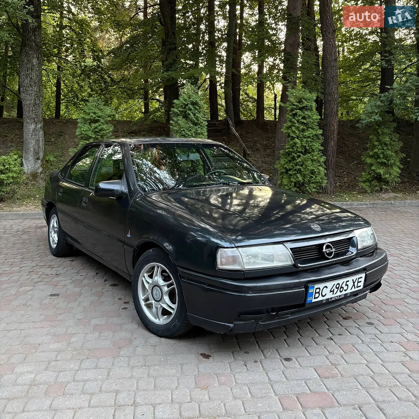 Opel Vectra, 1993