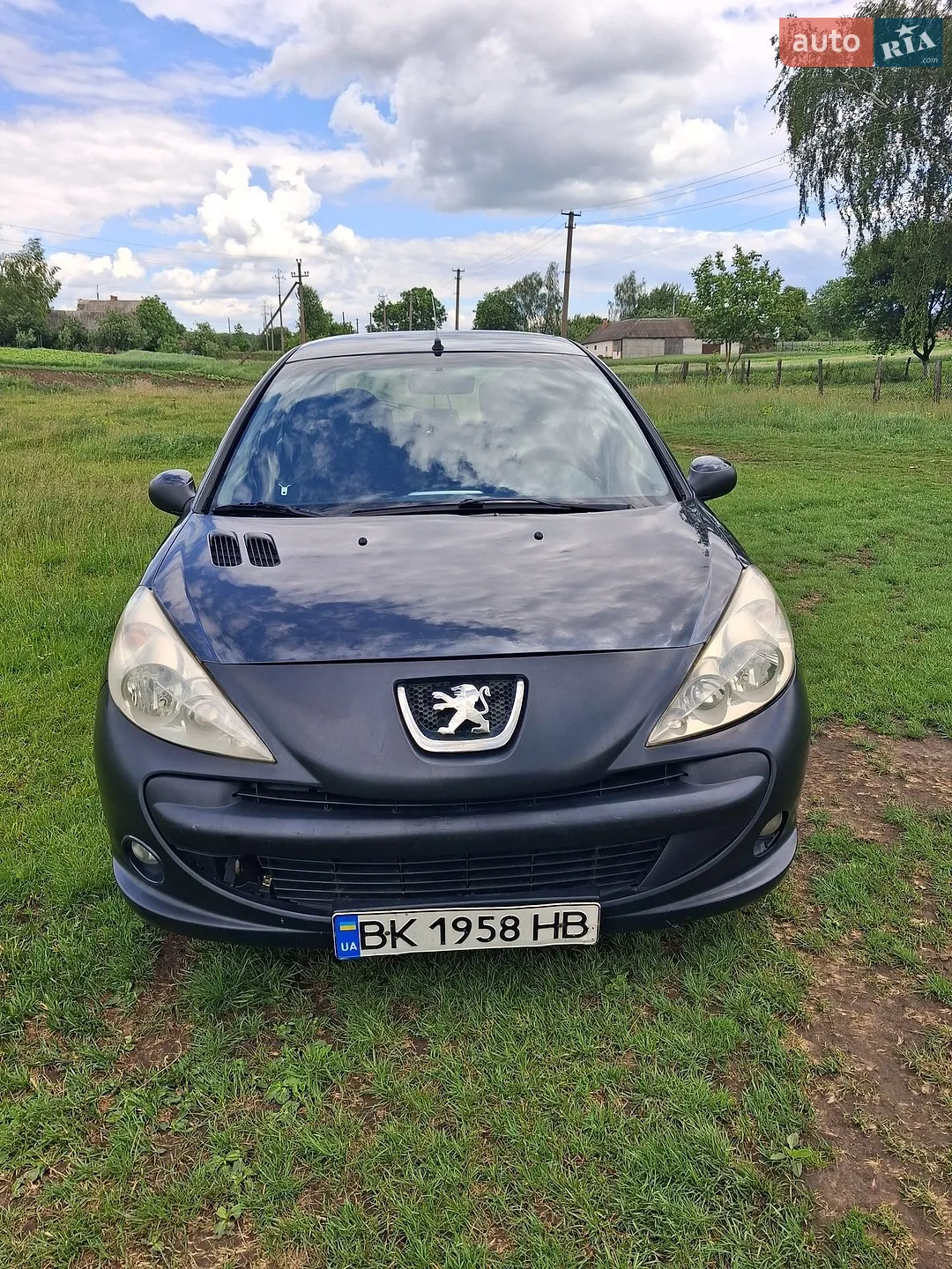 Peugeot 206 plus, 2010