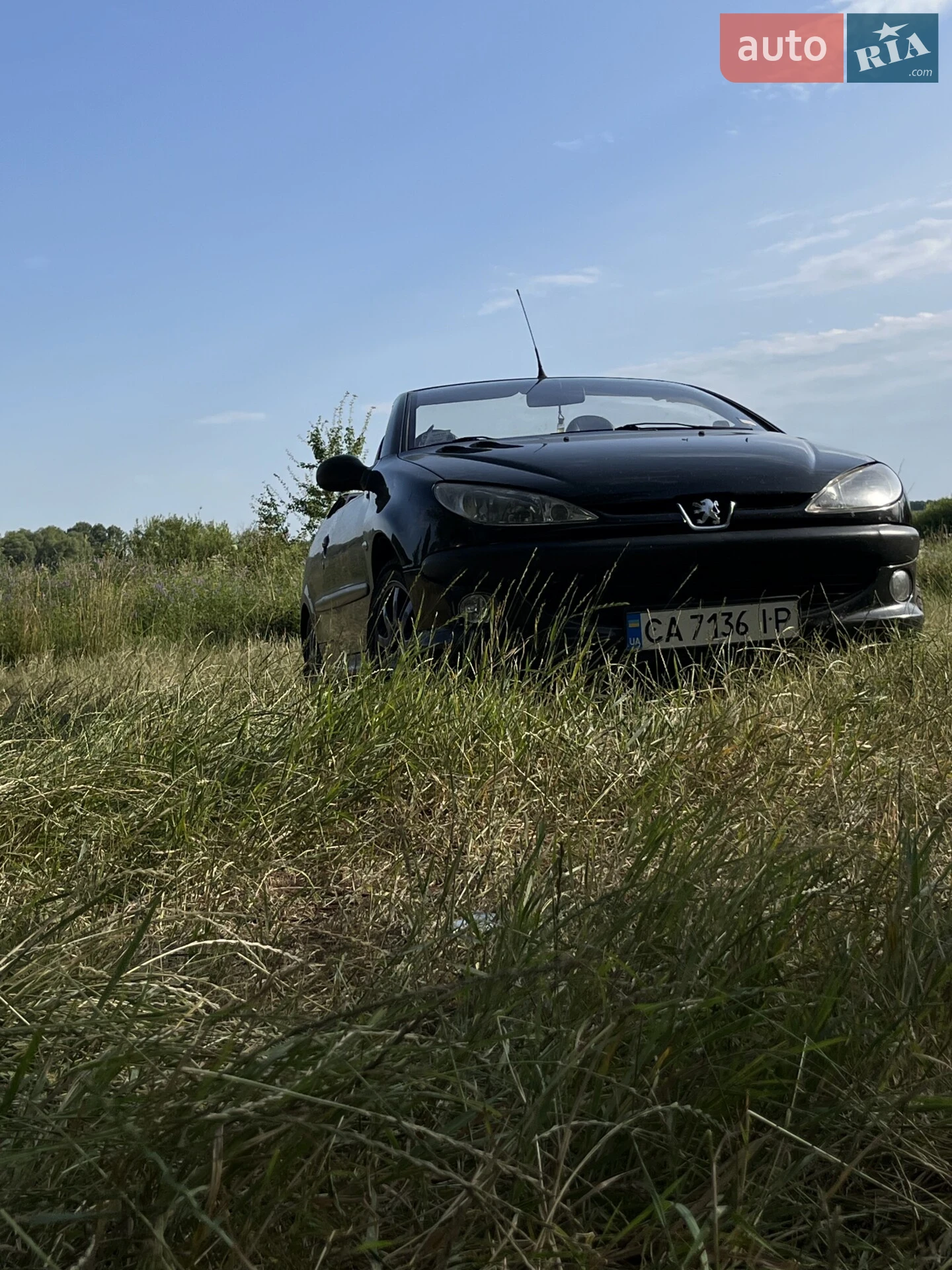 Peugeot 206, 2001