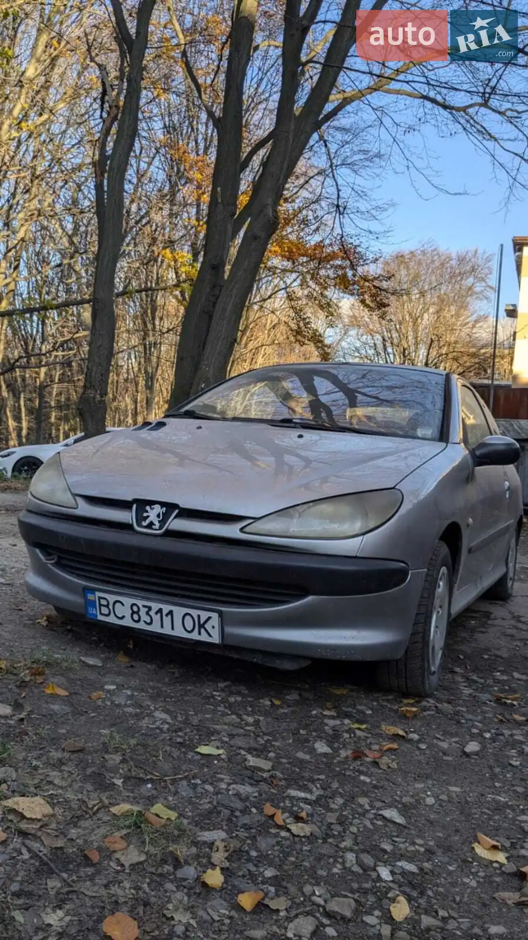 Peugeot 206, 2003