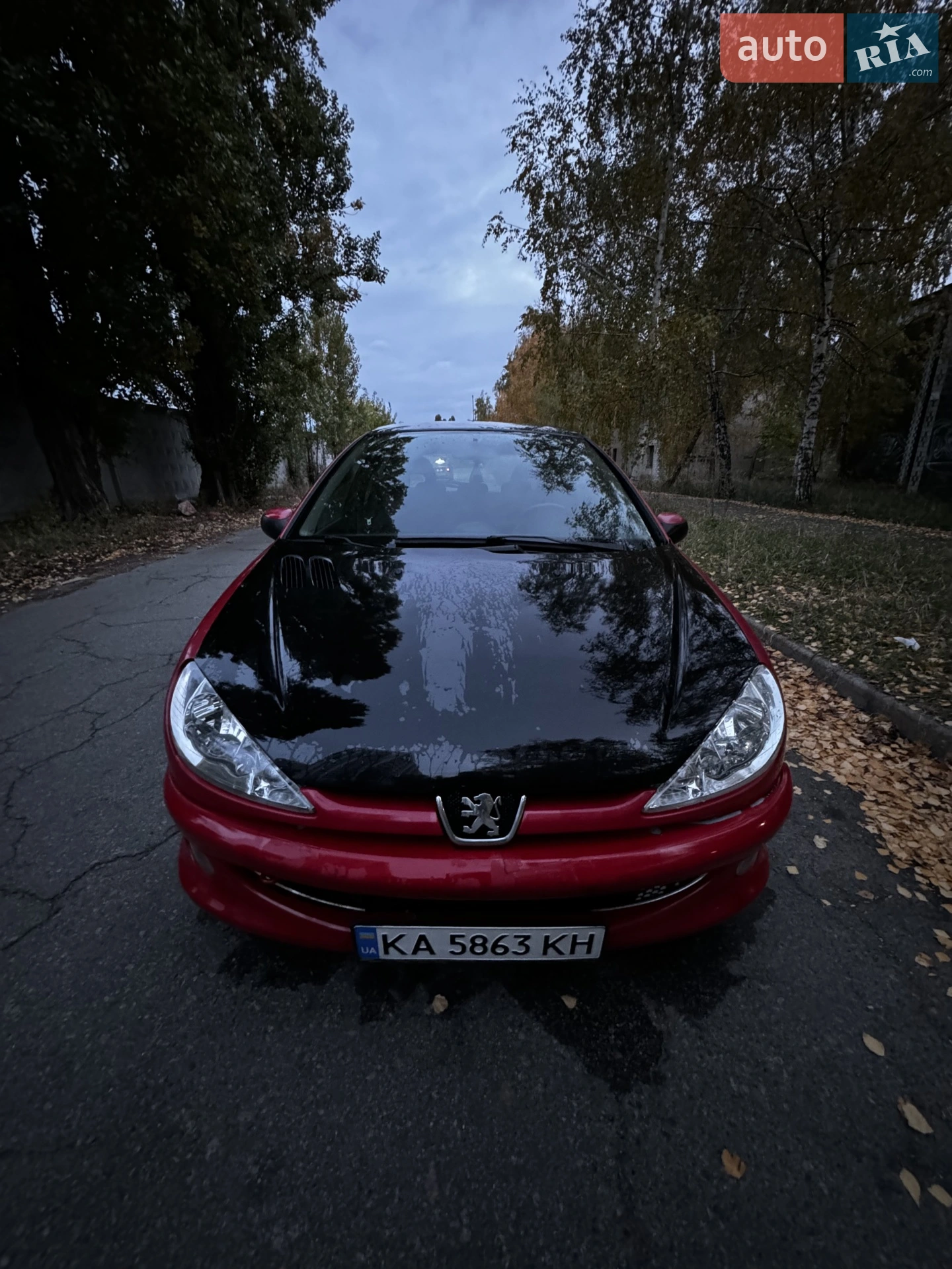 Peugeot 206, 2006
