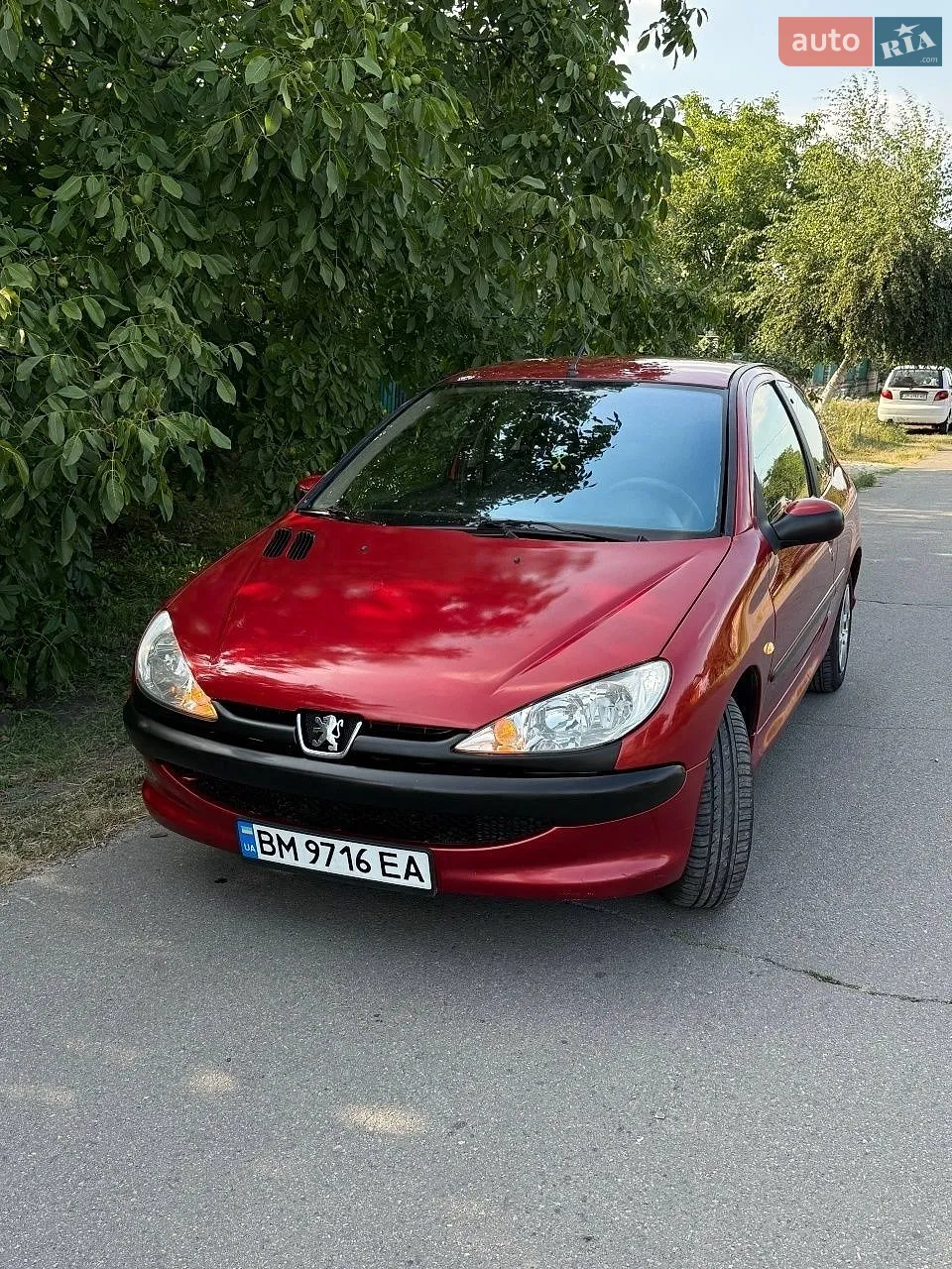 Peugeot 206, 2004
