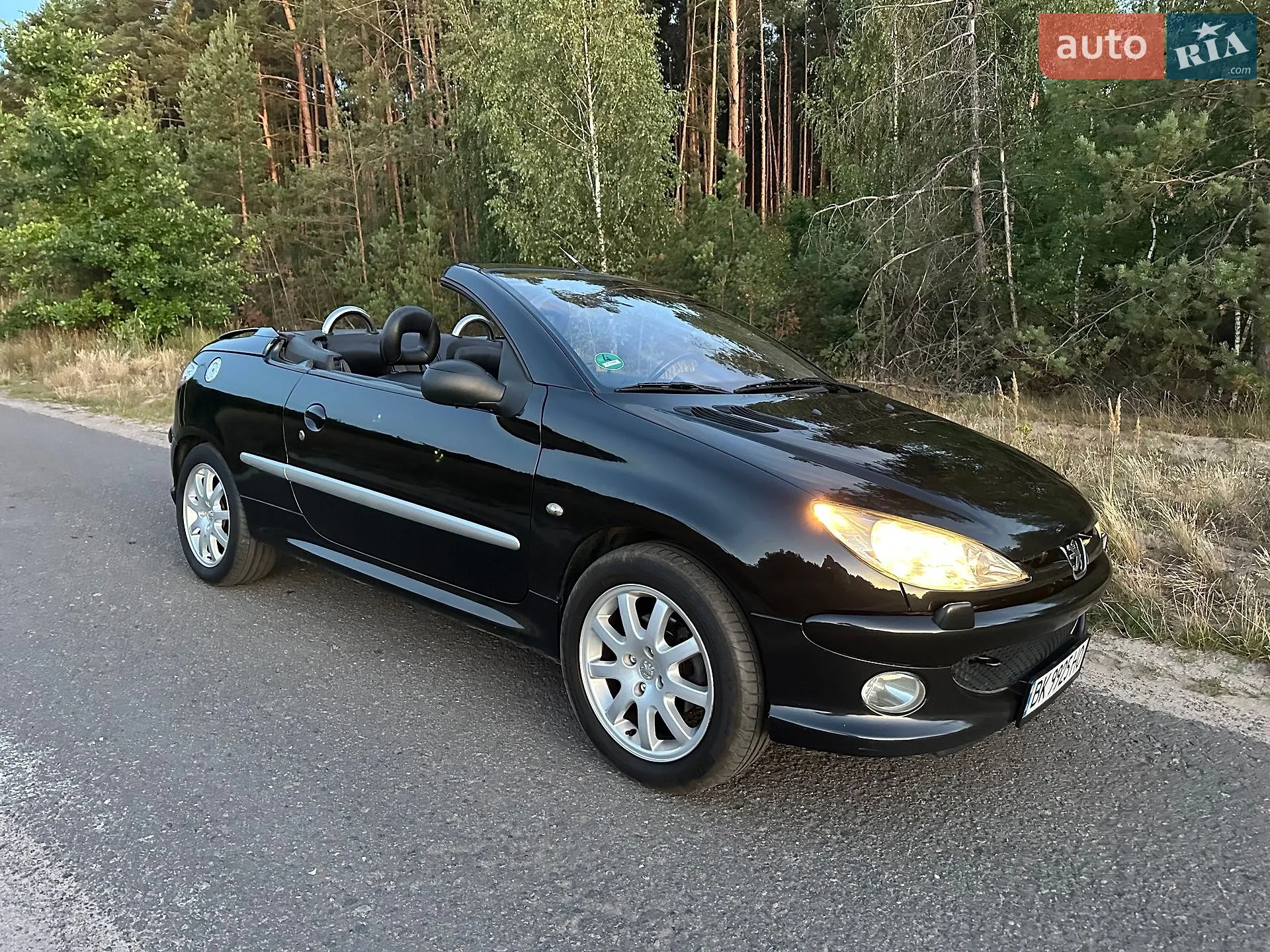 Peugeot 206, 2004
