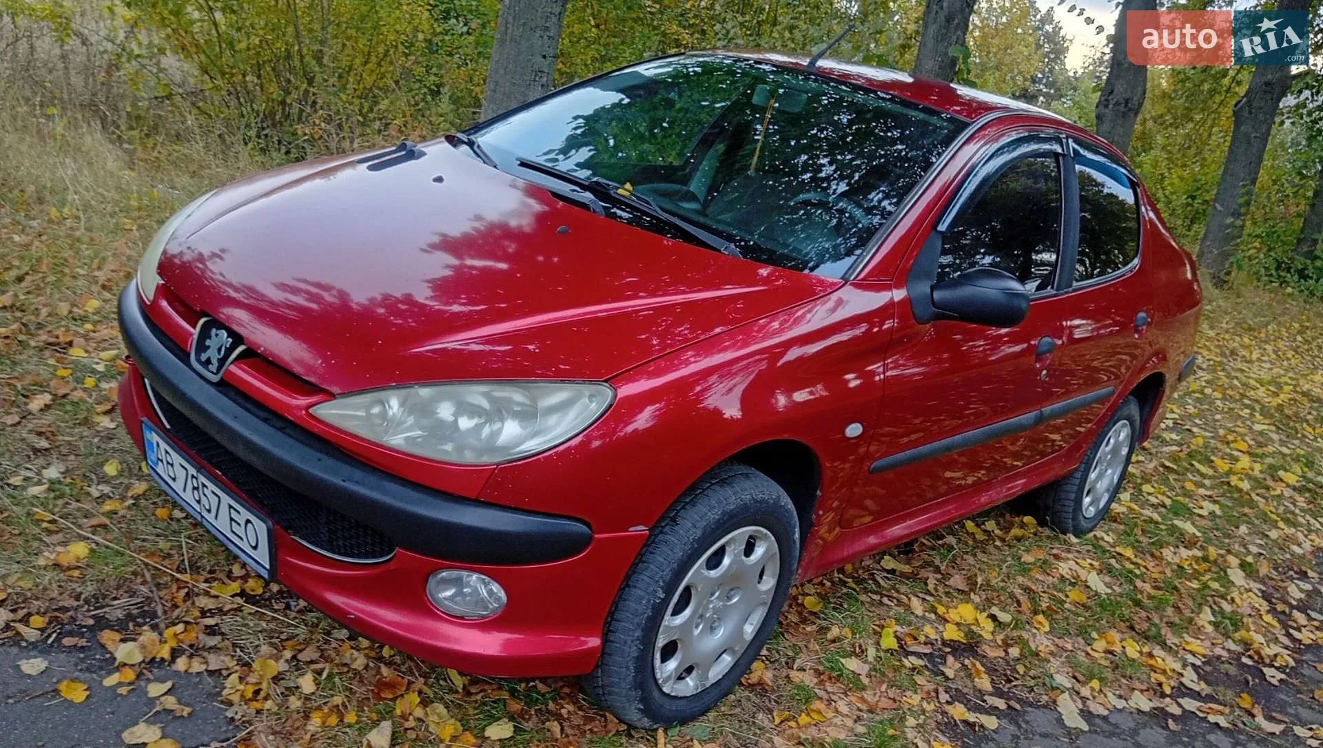 Peugeot 206, 2010