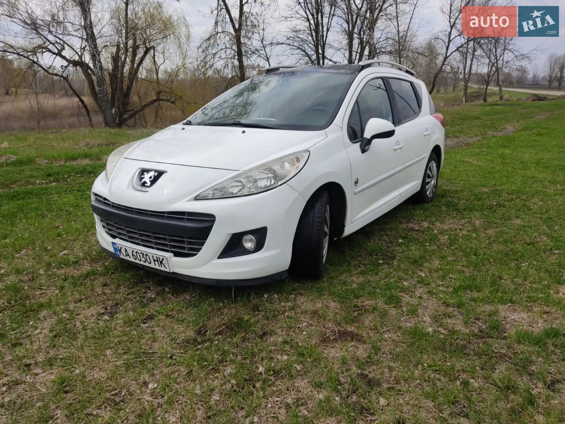 Peugeot 207, 2010