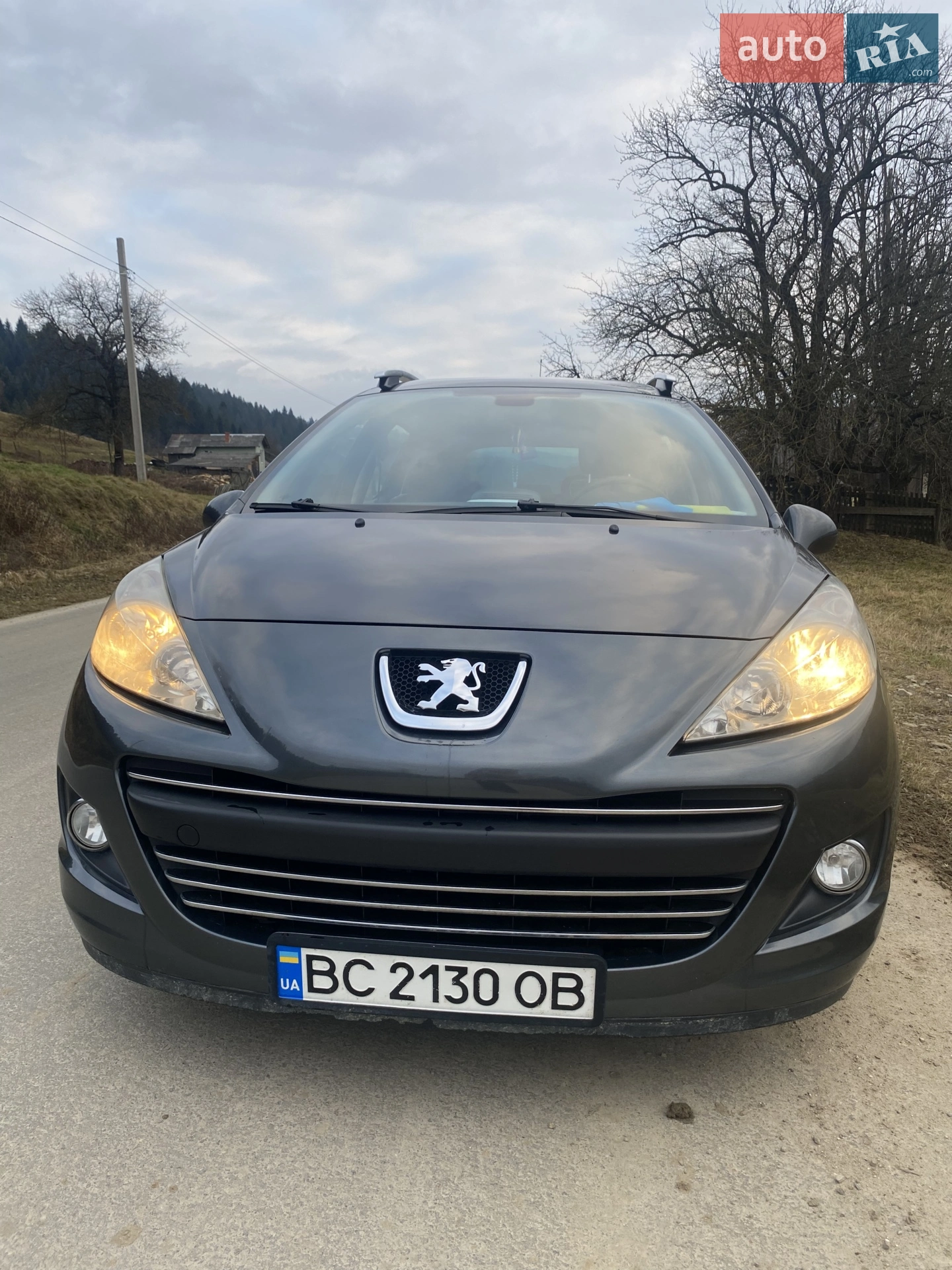 Peugeot 207, 2010