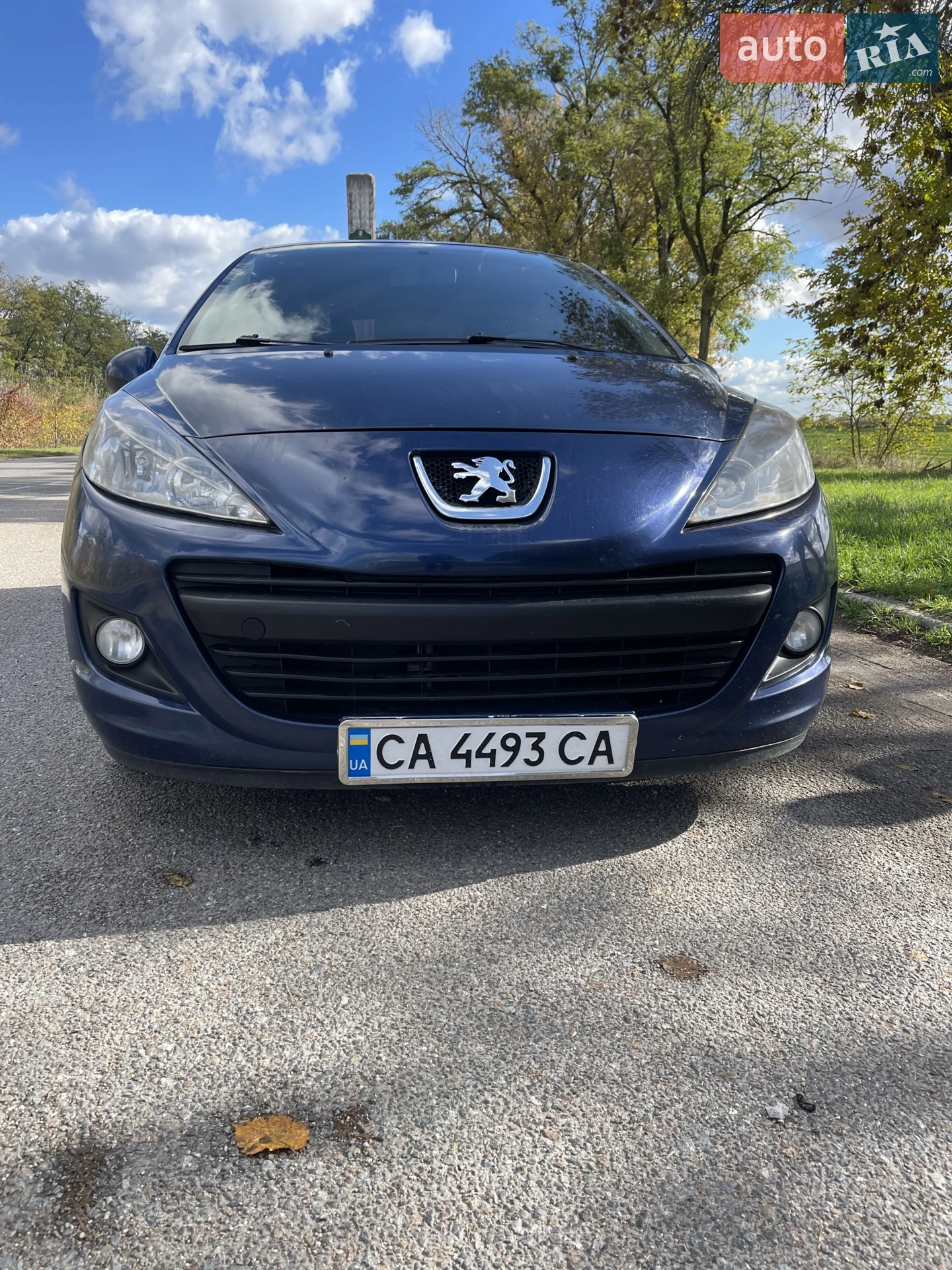 Peugeot 207, 2010