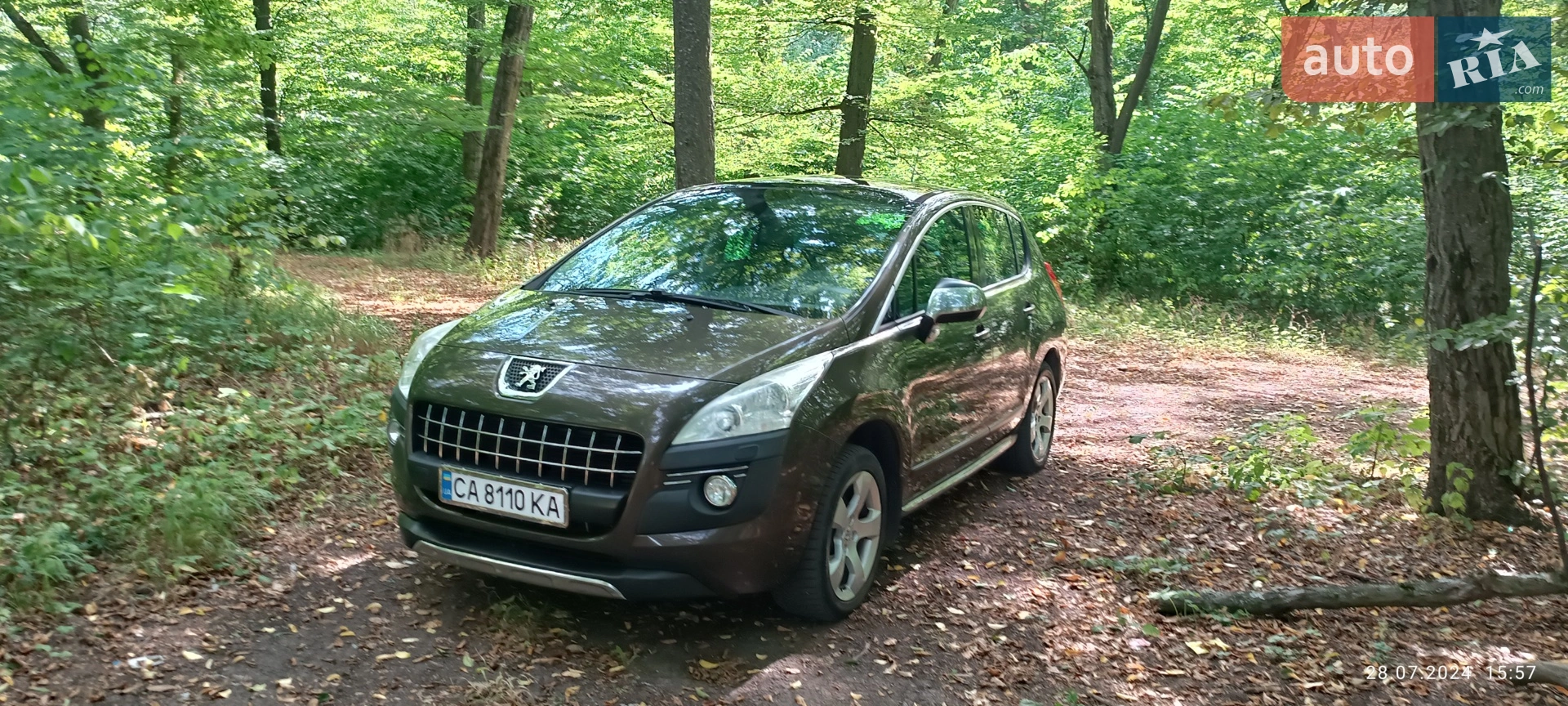 Peugeot 3008, 2010