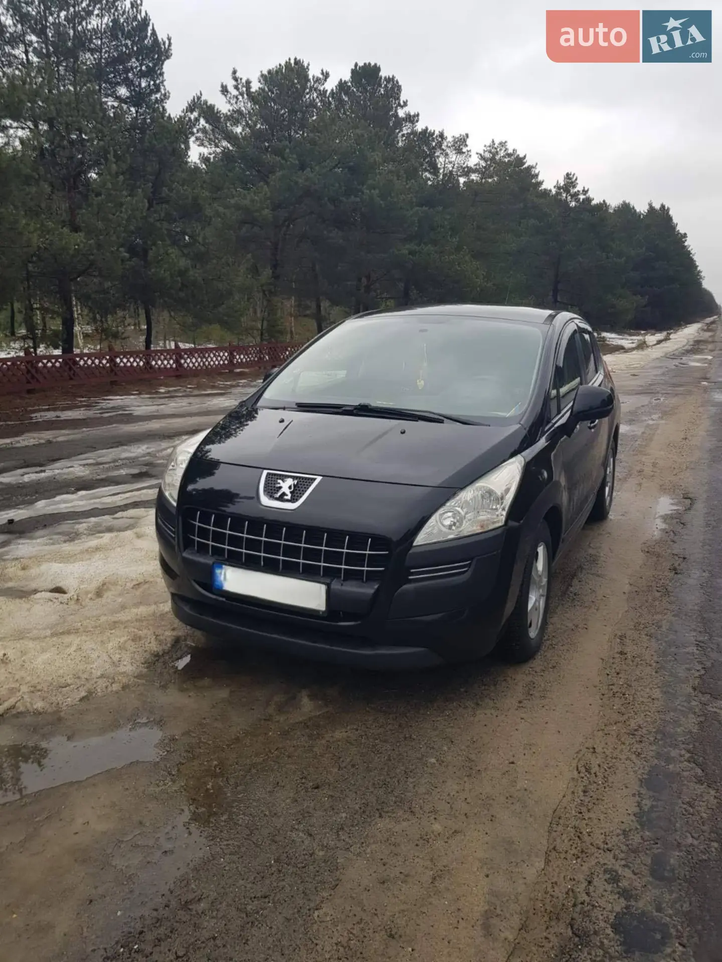 Peugeot 3008, 2010