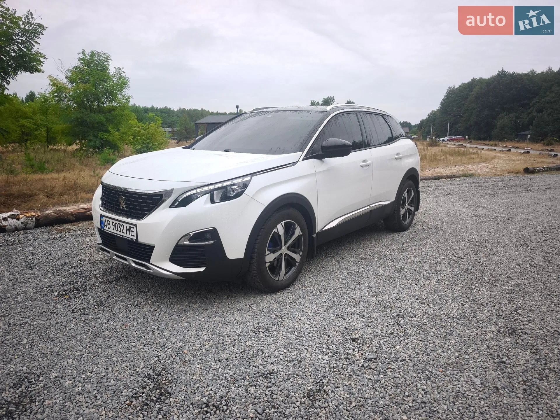 Peugeot 3008, 2017