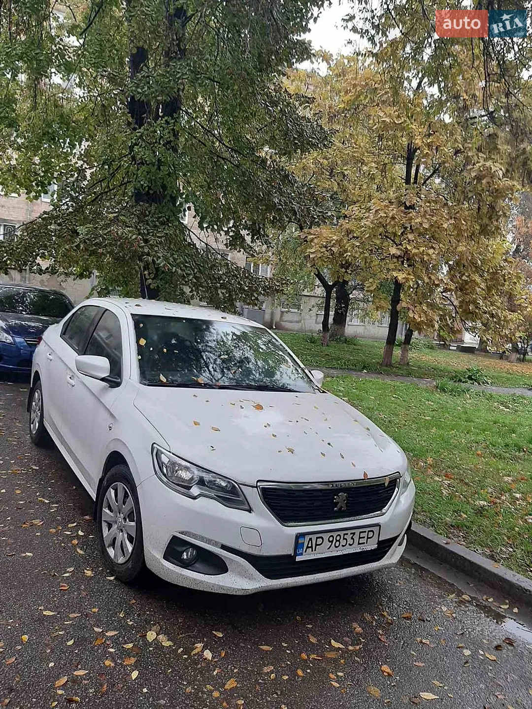 Peugeot 301, 2019