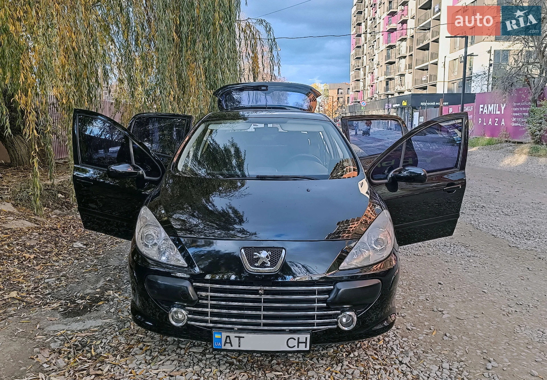 Peugeot 307, 2006