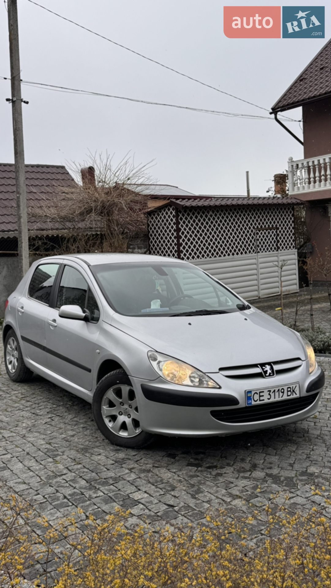 Peugeot 307, 2002