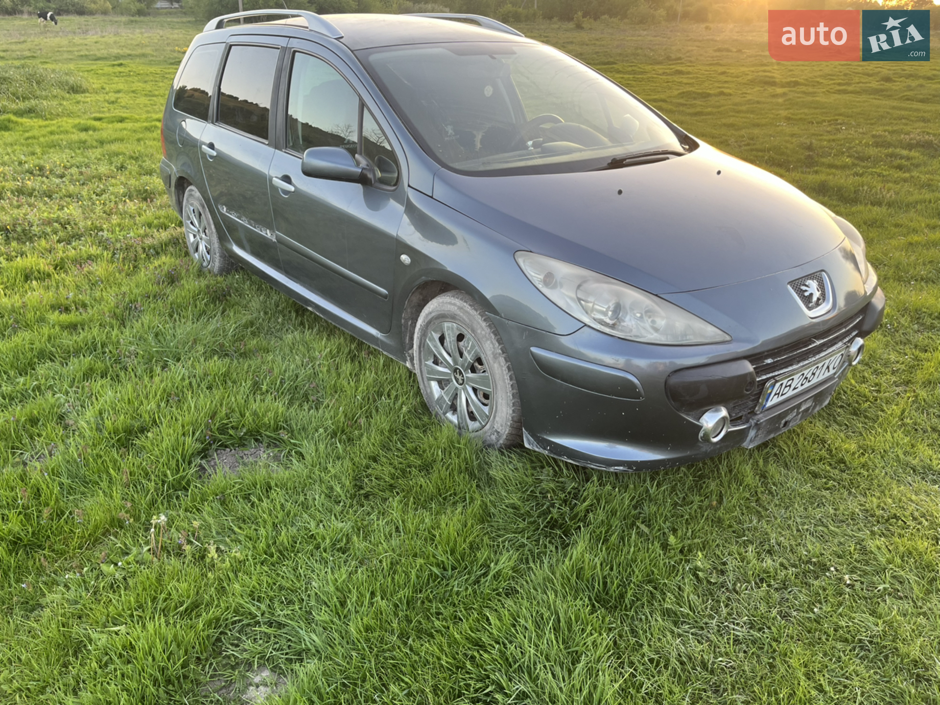 Peugeot 307, 2006