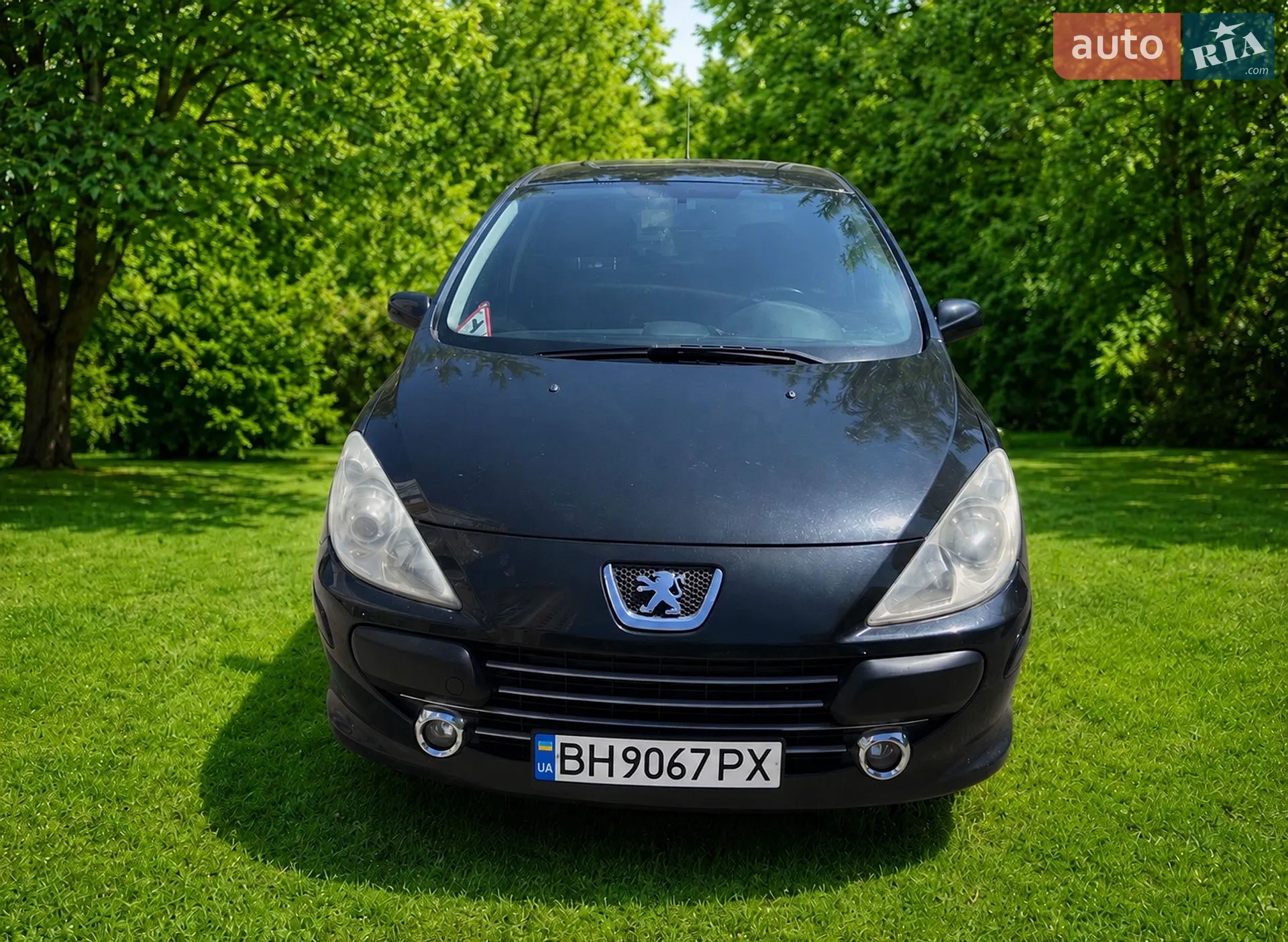 Peugeot 307, 2006