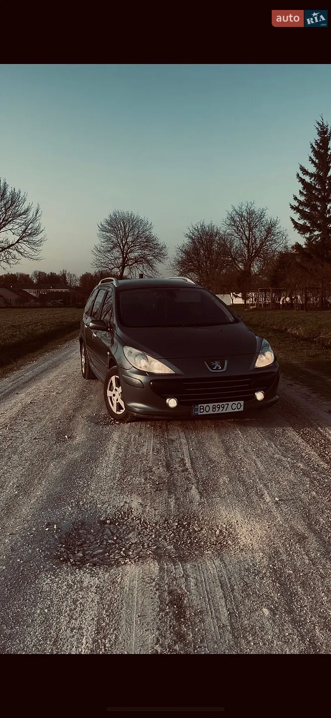 Peugeot 307, 2006