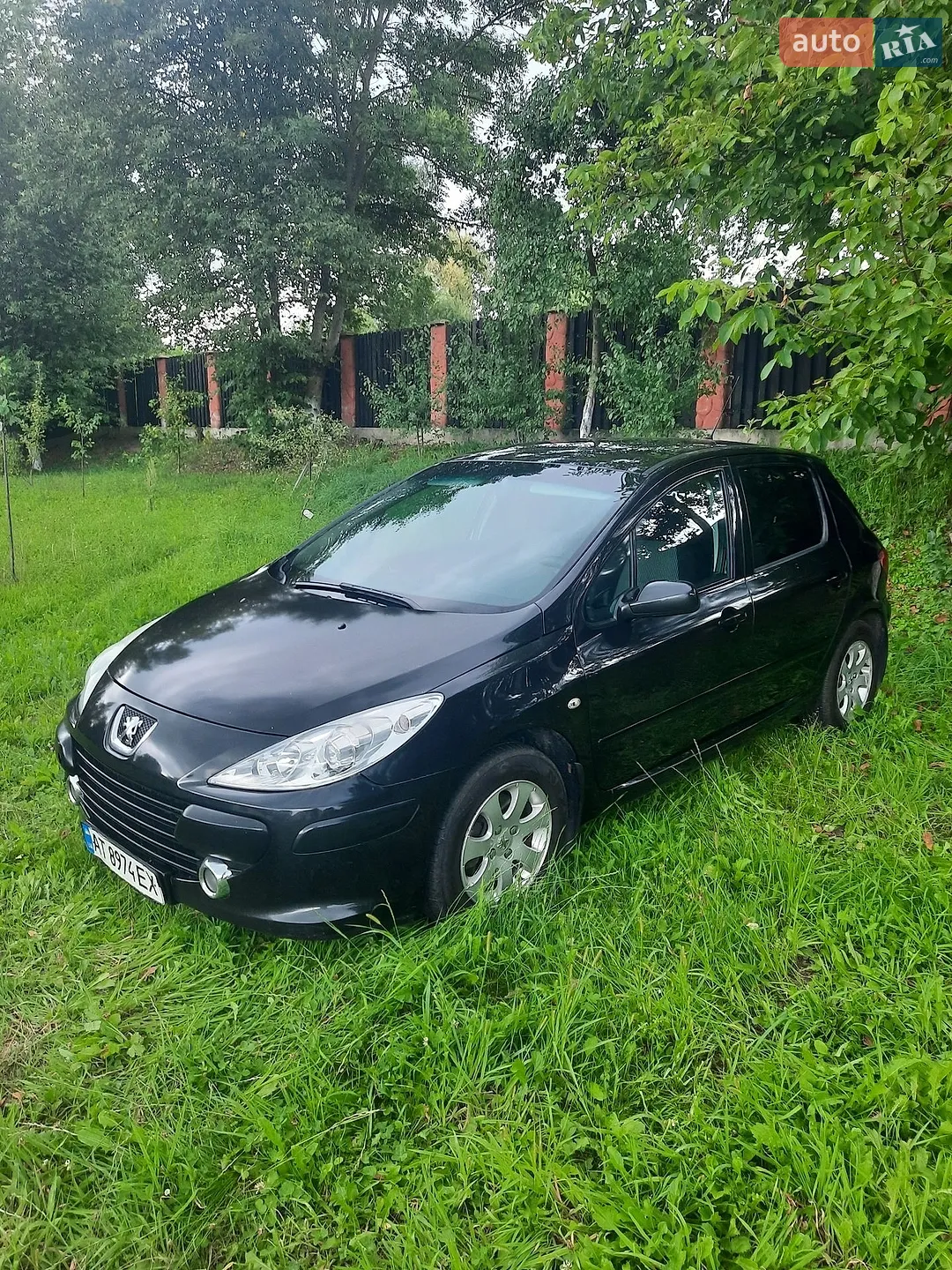 Peugeot 307, 2006