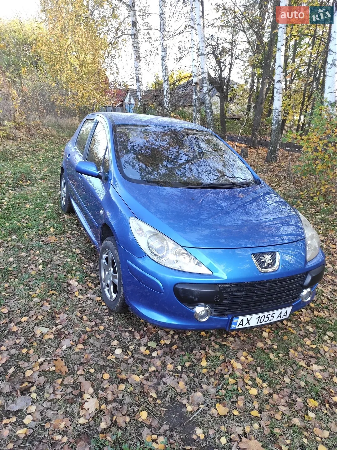 Peugeot 307, 2005