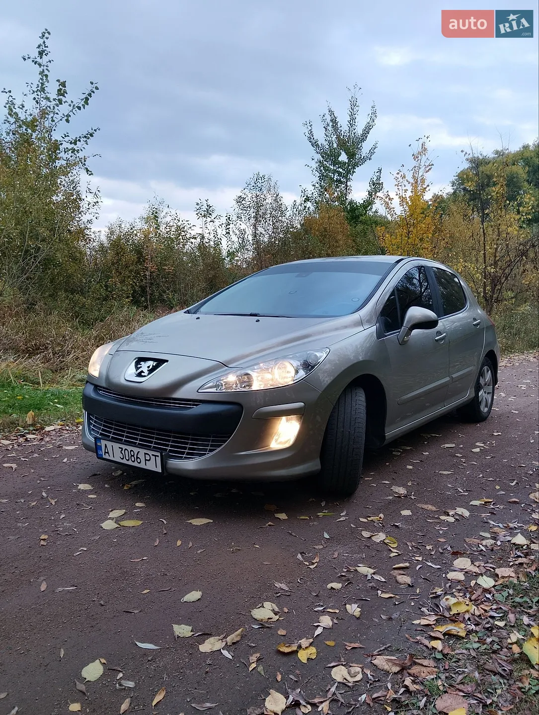 Peugeot 308, 2010