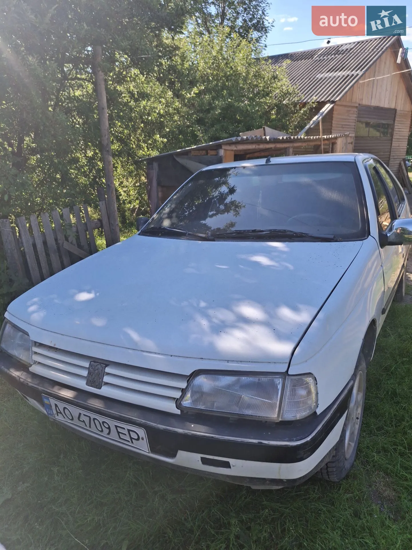 Peugeot 405, 1989