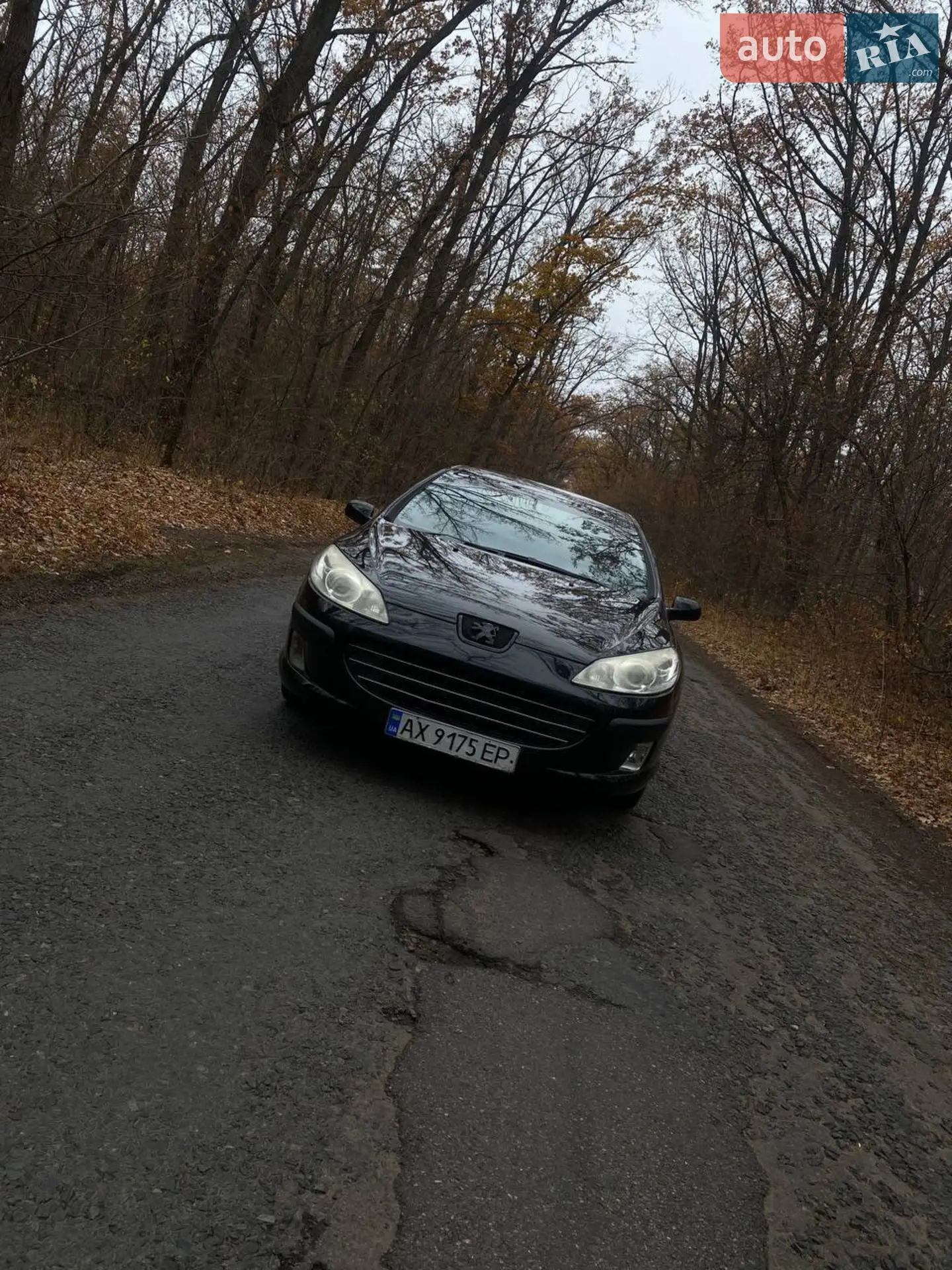 Peugeot 407, 2008