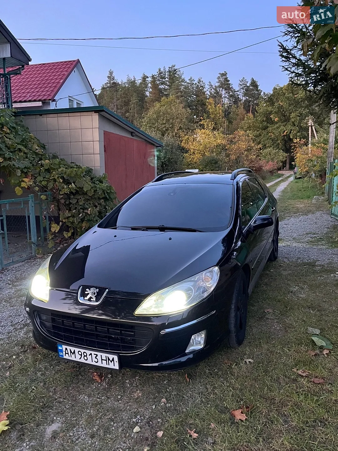 Peugeot 407, 2006