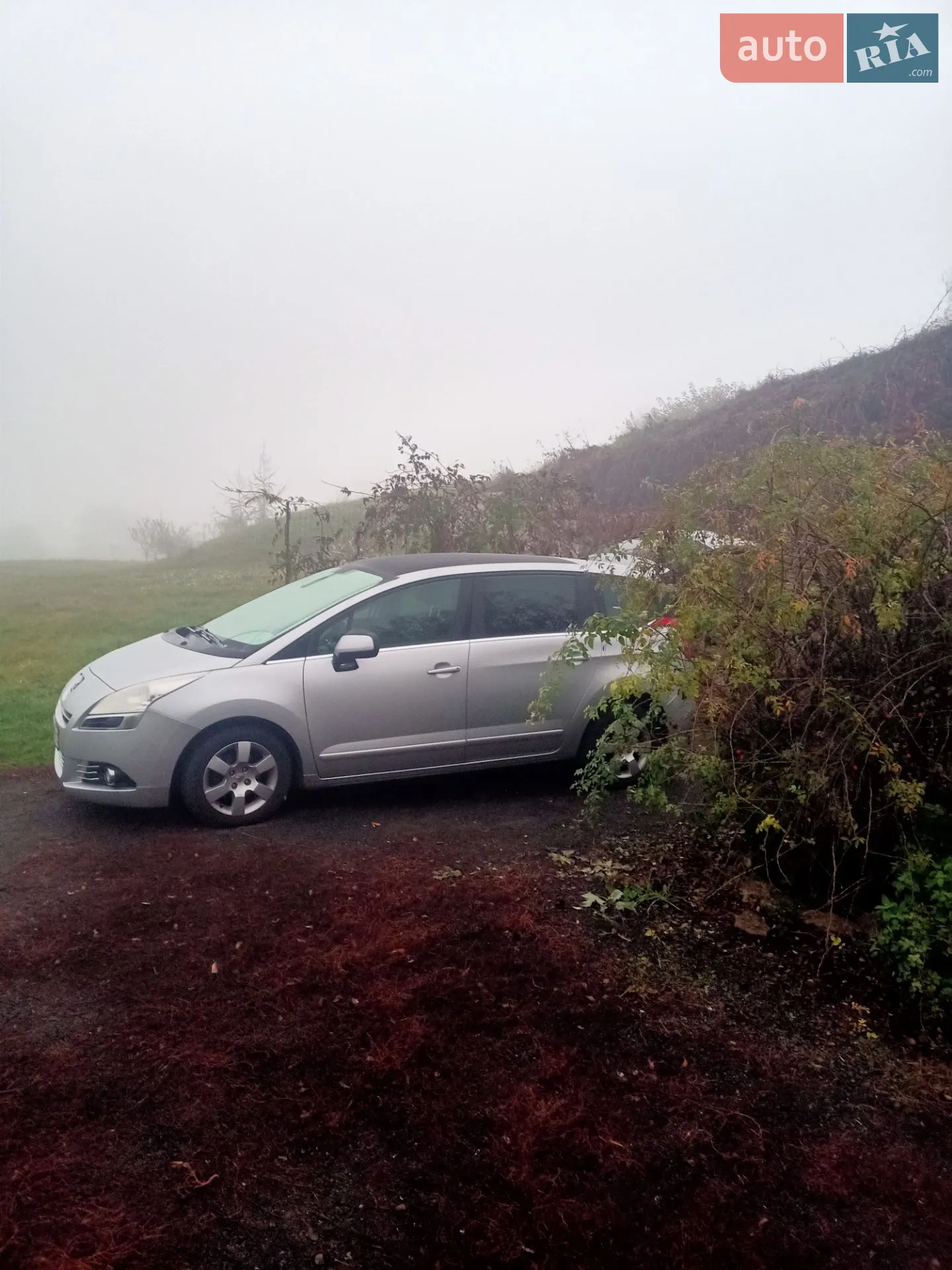 Peugeot 5008, 2010