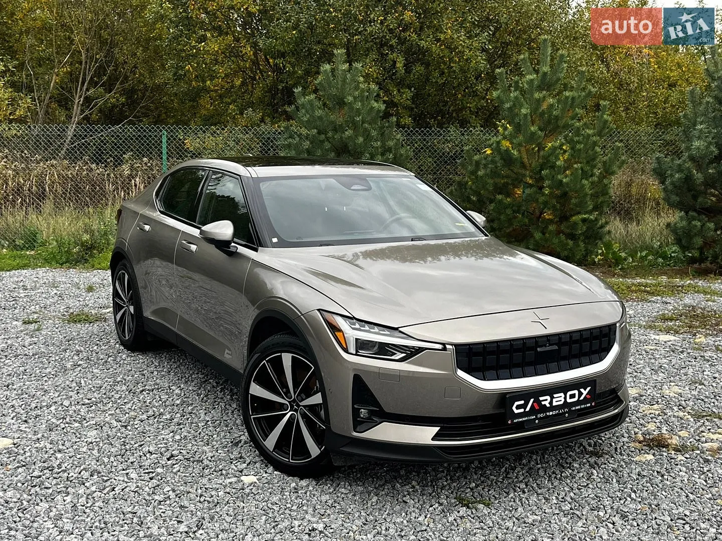 Polestar 2, 2020