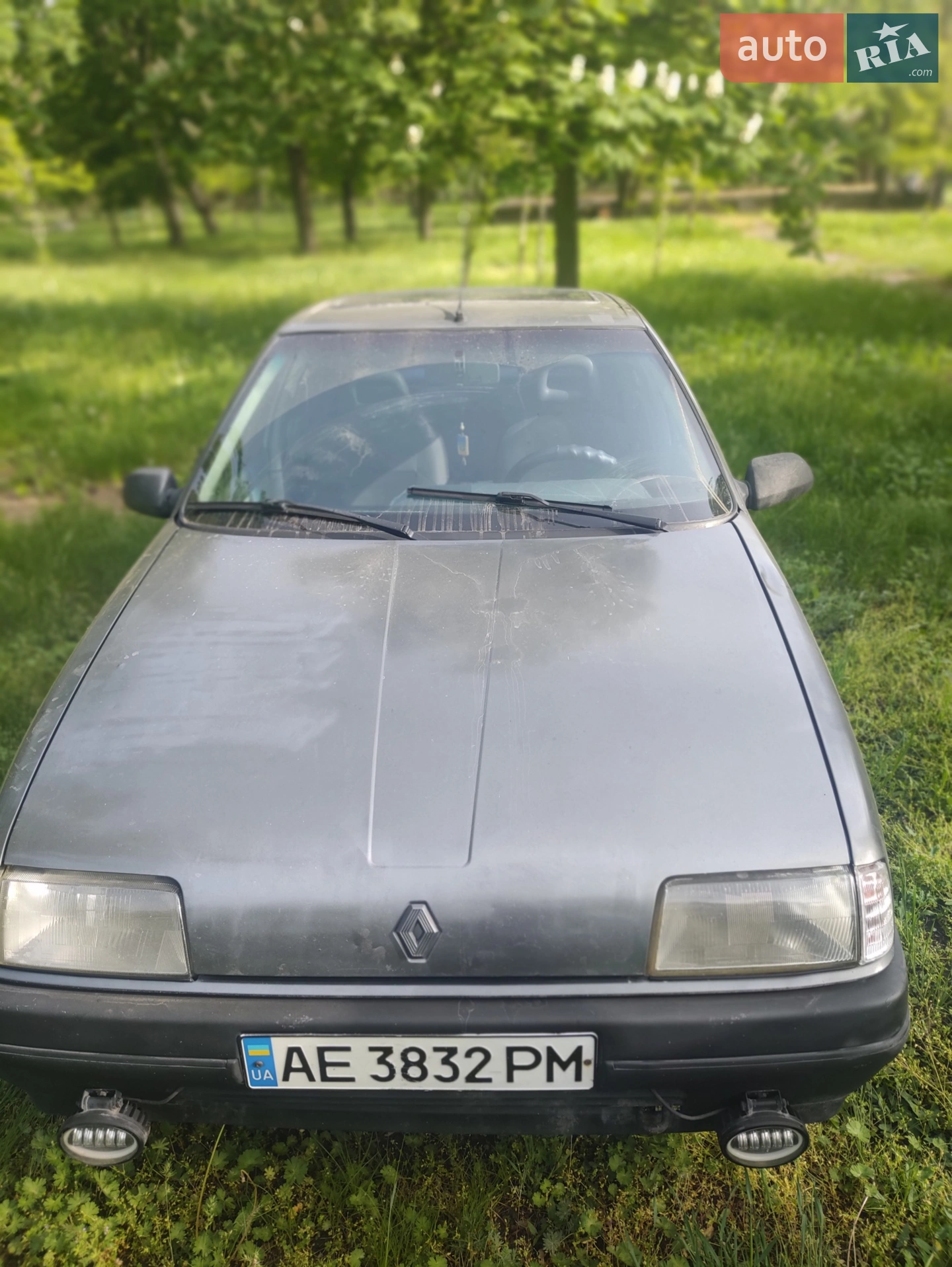 Renault 19, 1991