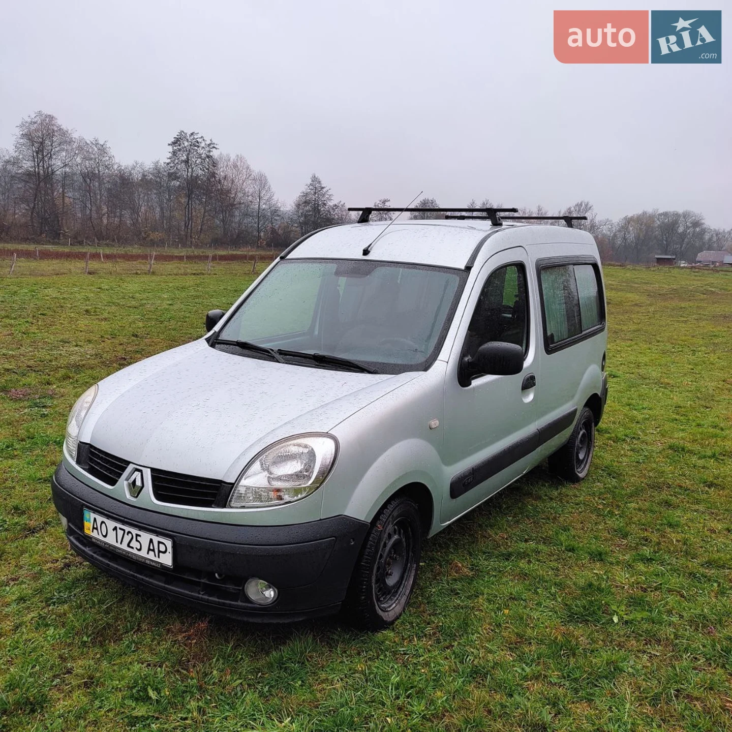 Renault Kangoo, 2008