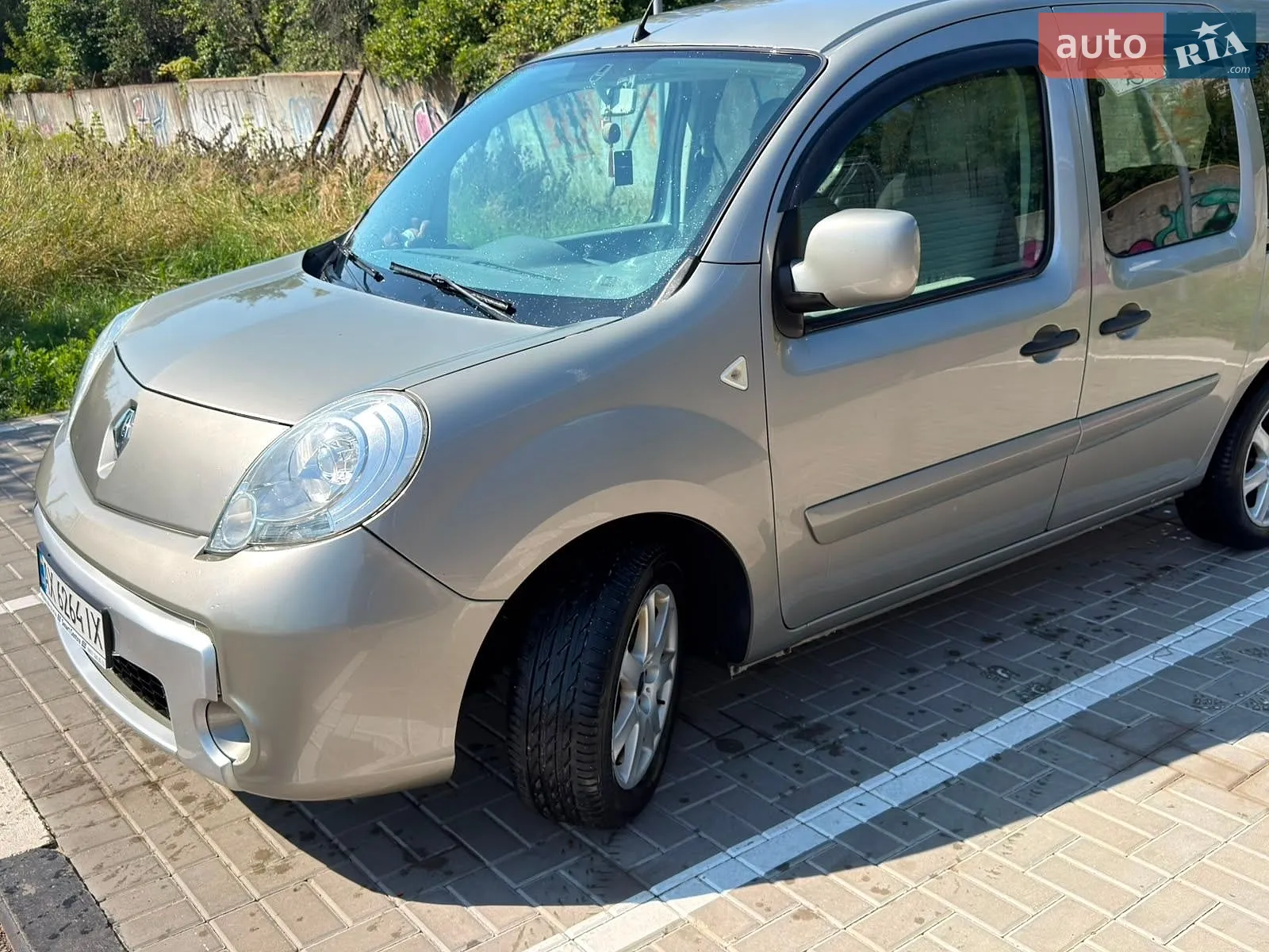 Renault Kangoo, 2010