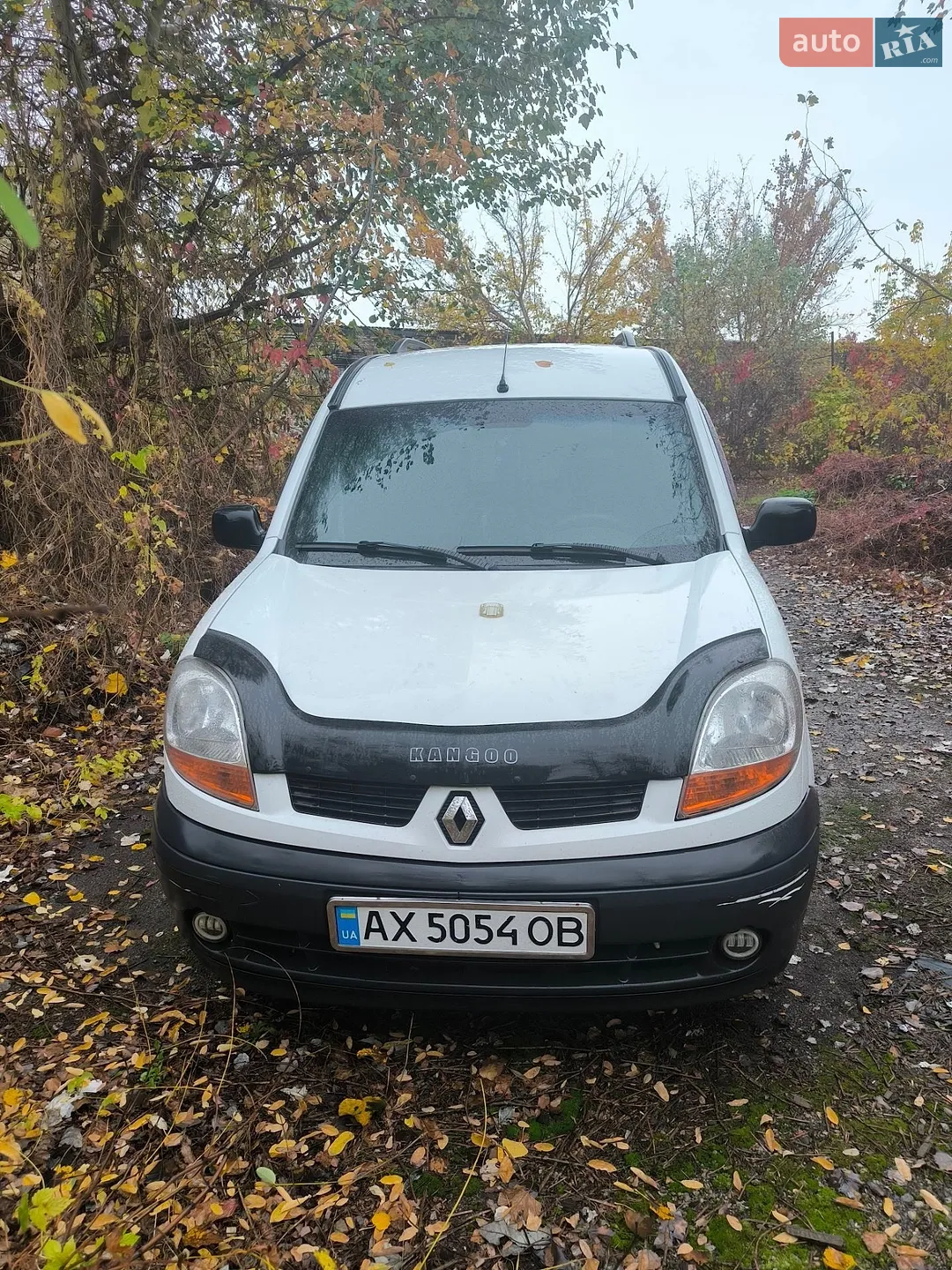 Renault Kangoo, 2004