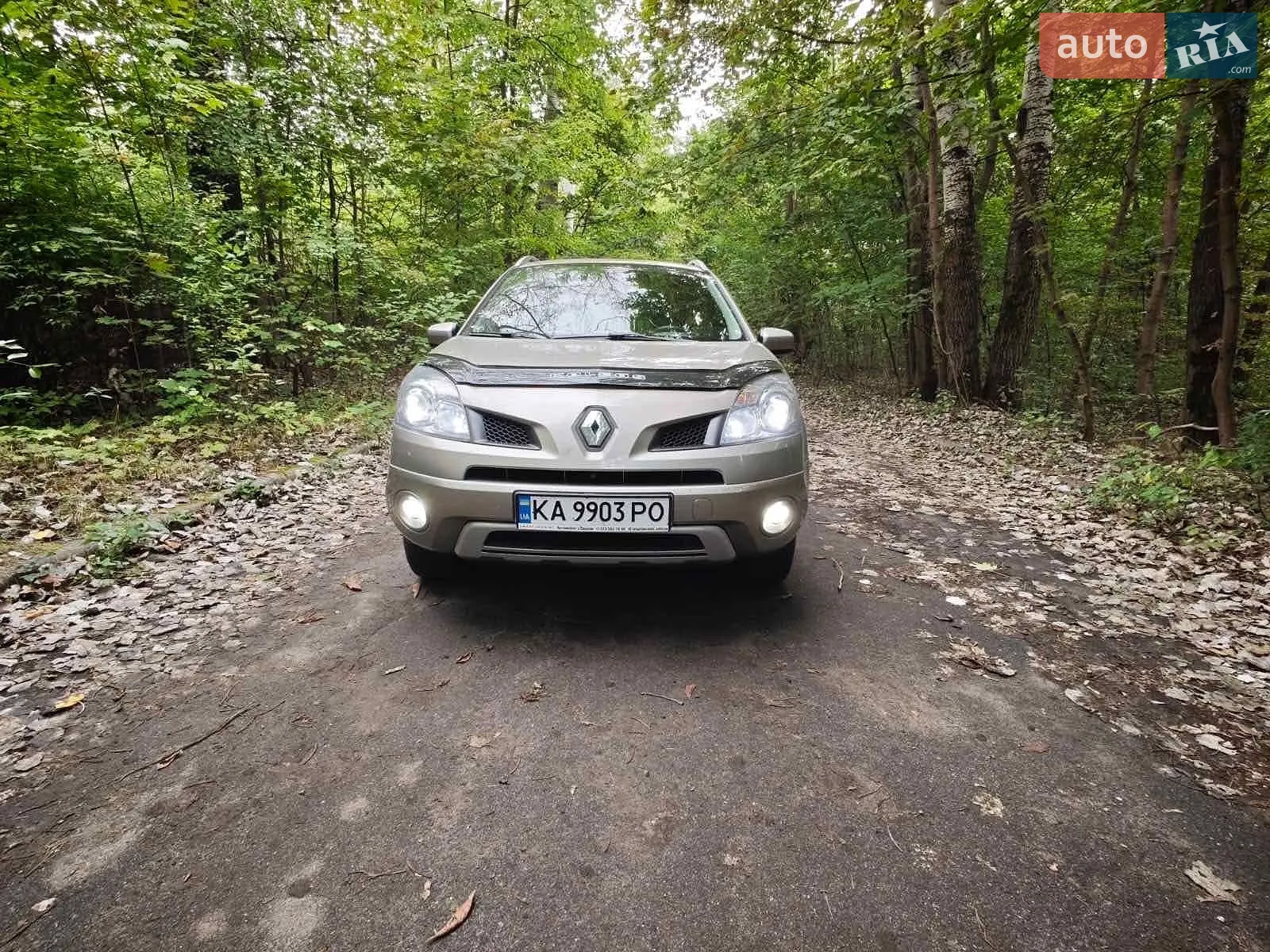 Renault Koleos, 2010