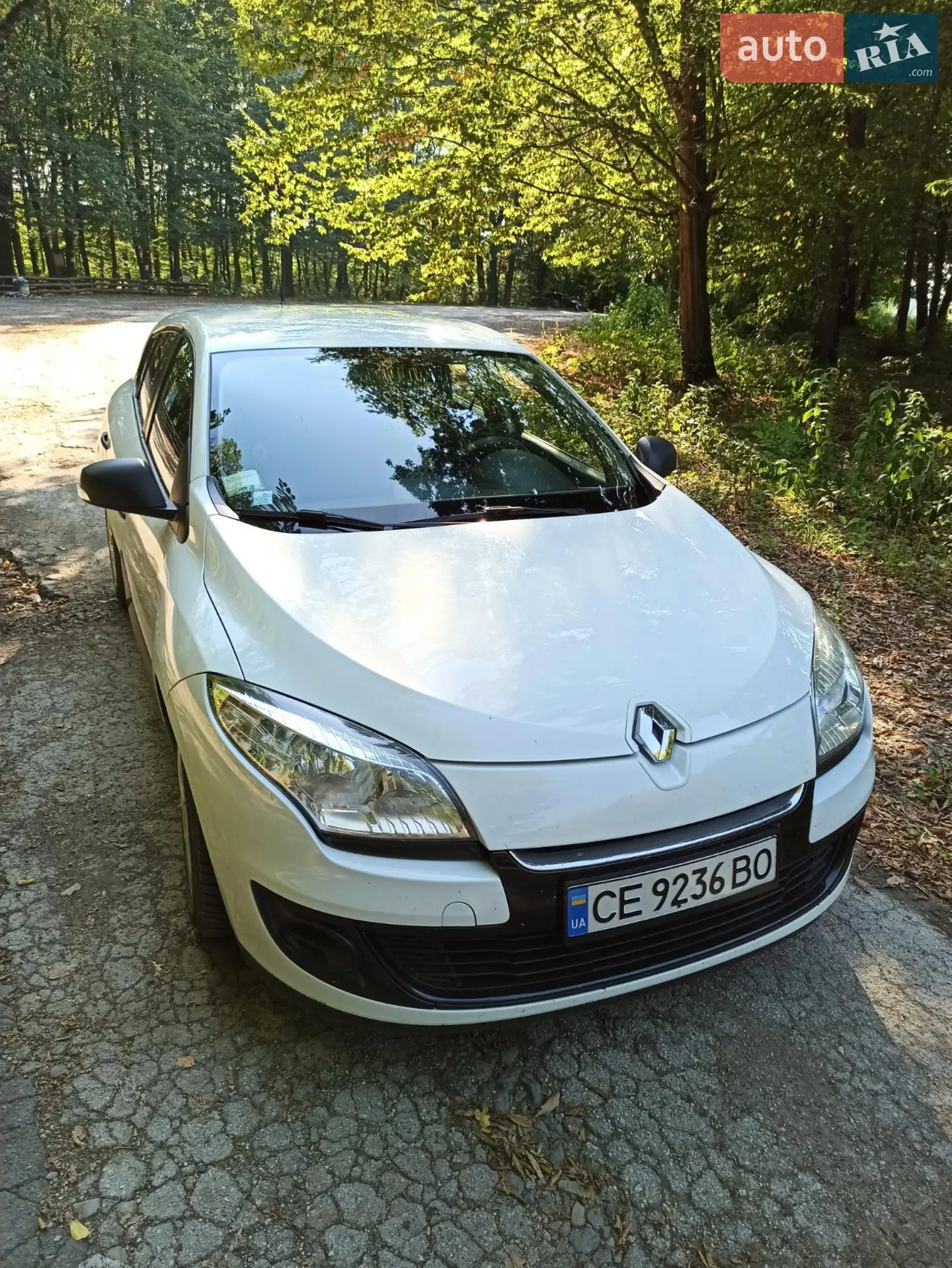 Renault Megane, 2013