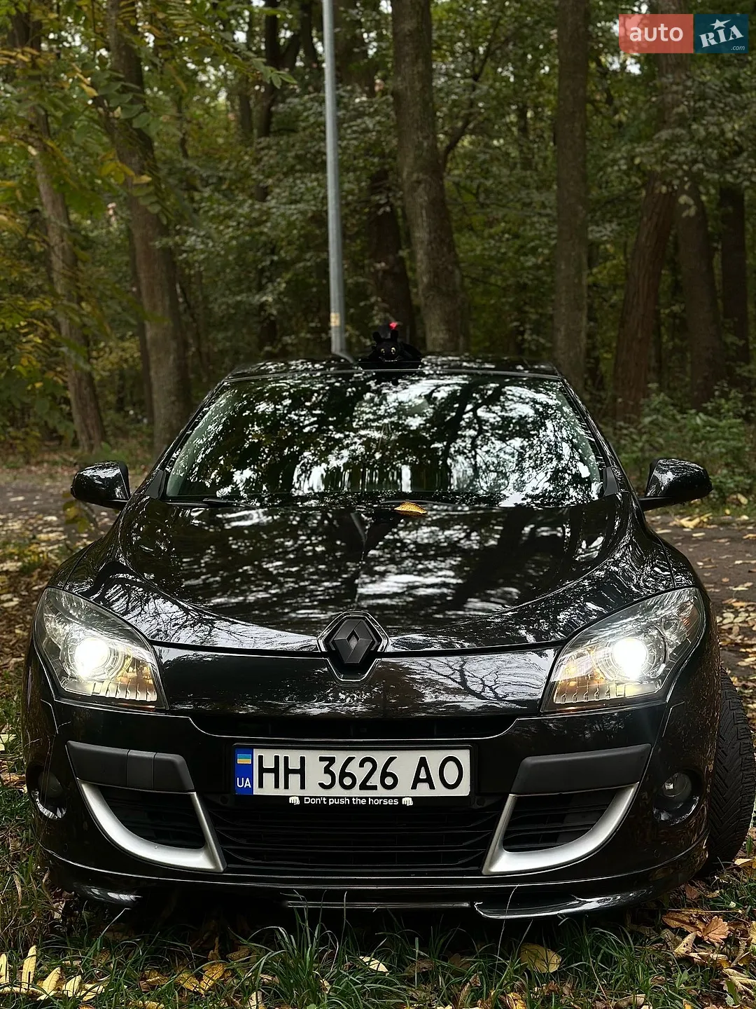 Renault Megane, 2009