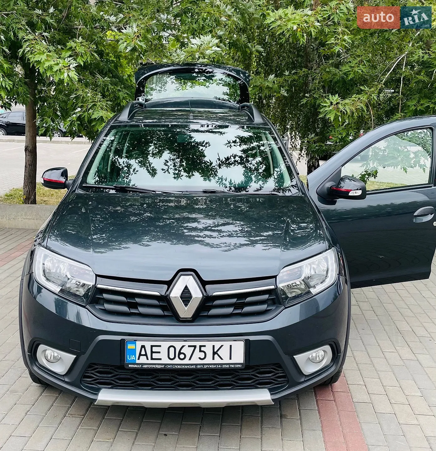 Renault Sandero StepWay, 2019