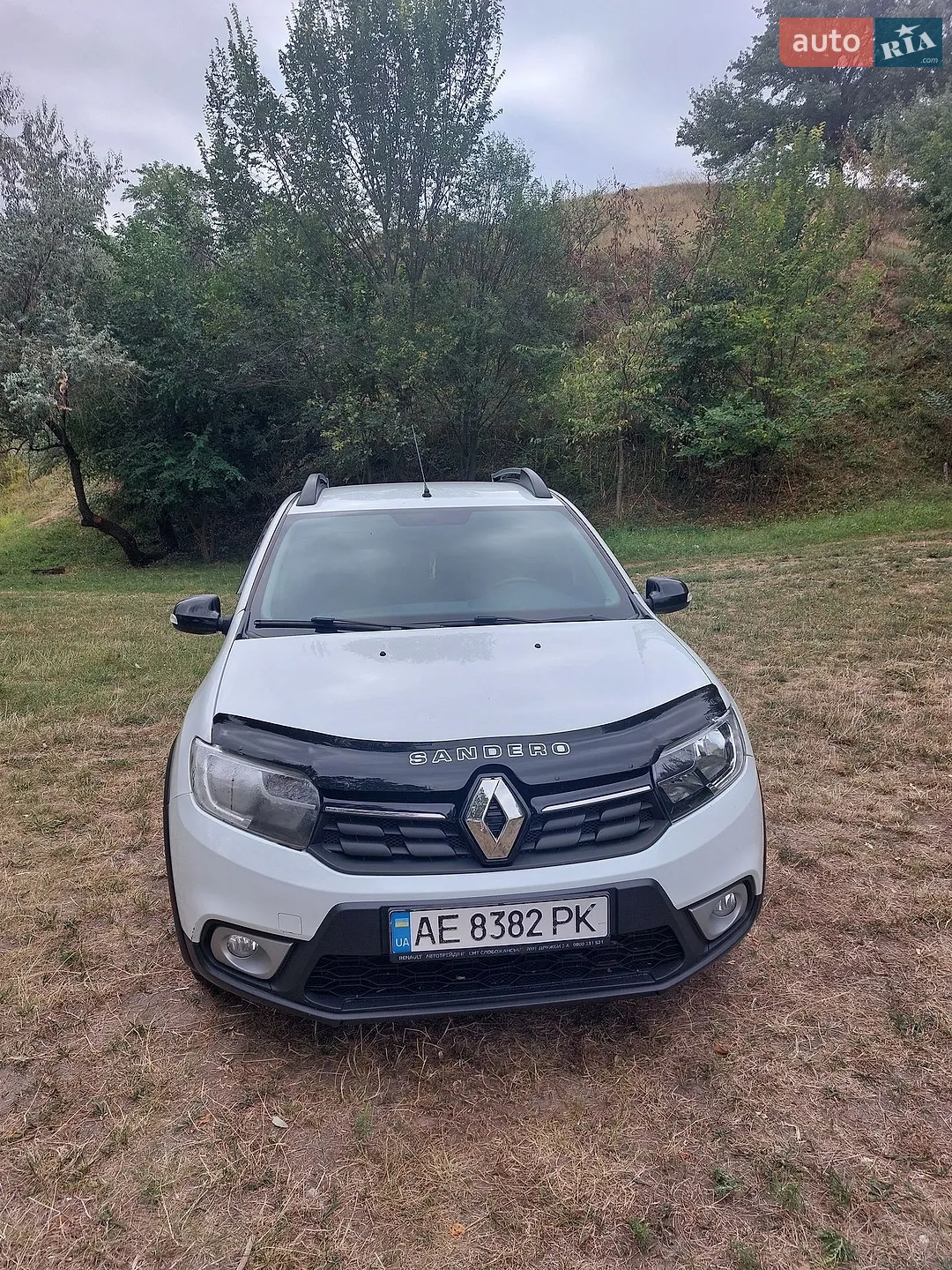 Renault Sandero, 2020