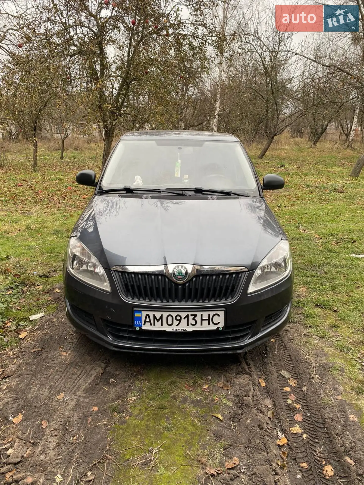 Skoda Fabia, 2010