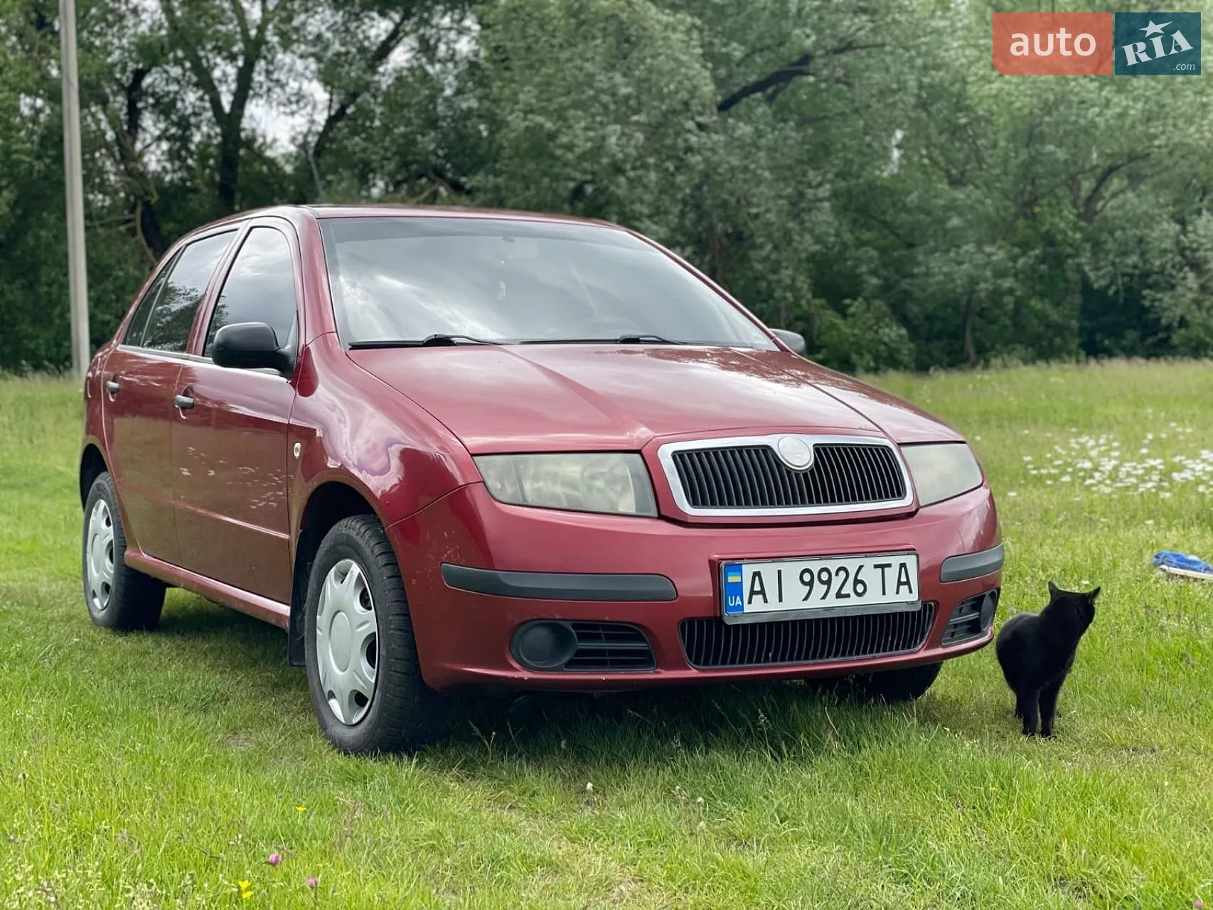 Skoda Fabia, 2006