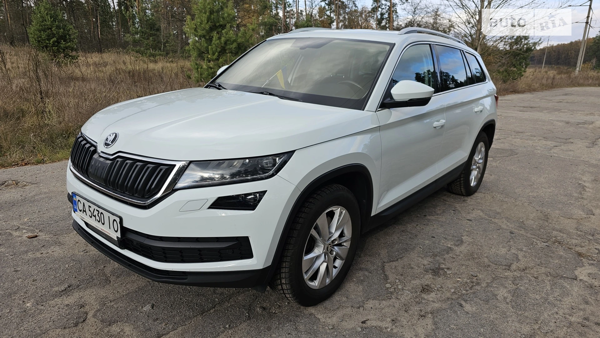 Skoda Kodiaq, 2017