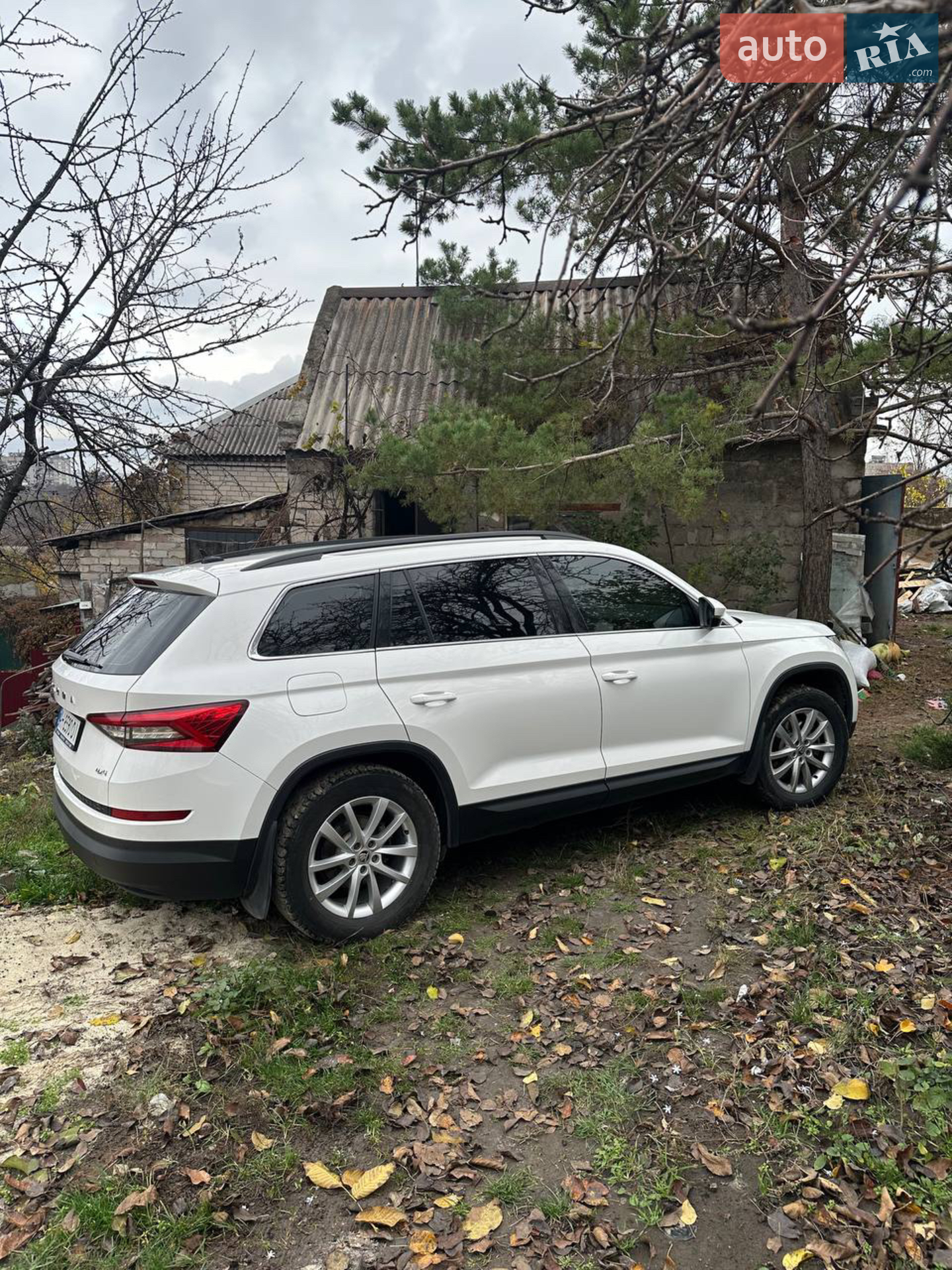 Skoda Kodiaq, 2020