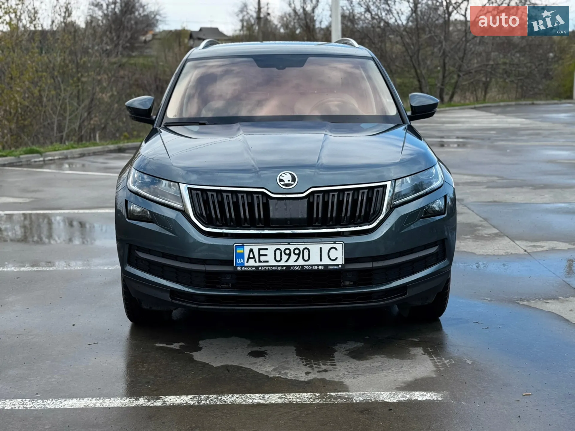 Skoda Kodiaq, 2017