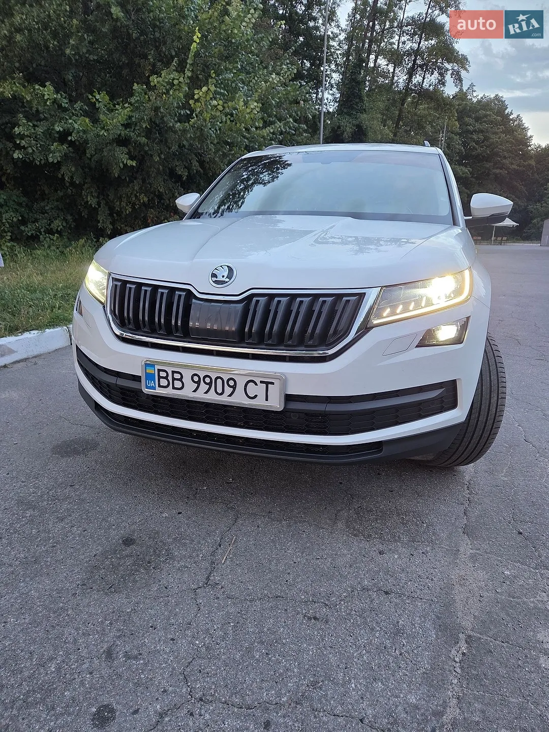 Skoda Kodiaq, 2017