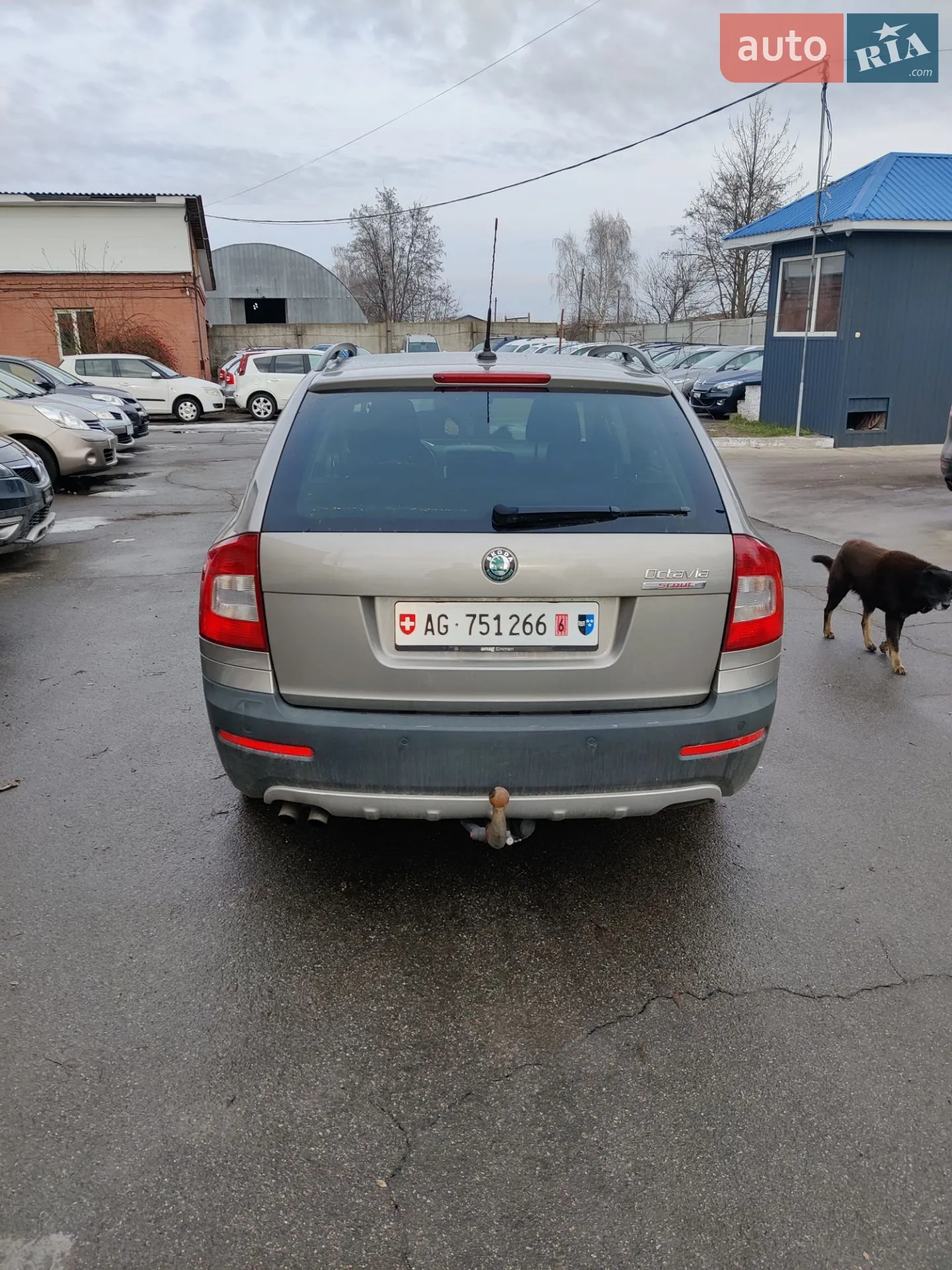 Skoda Octavia Scout, 2011
