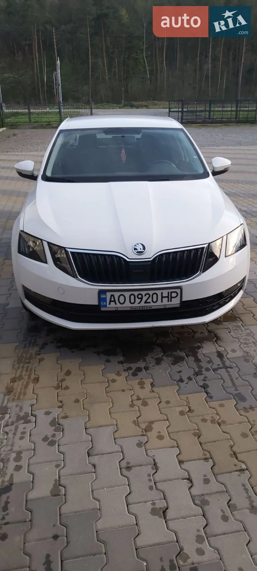 Skoda Octavia, 2017