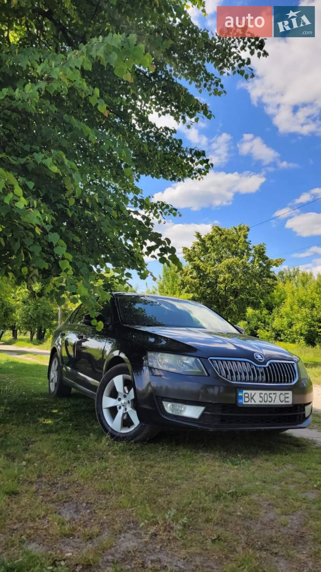 Skoda Octavia, 2016