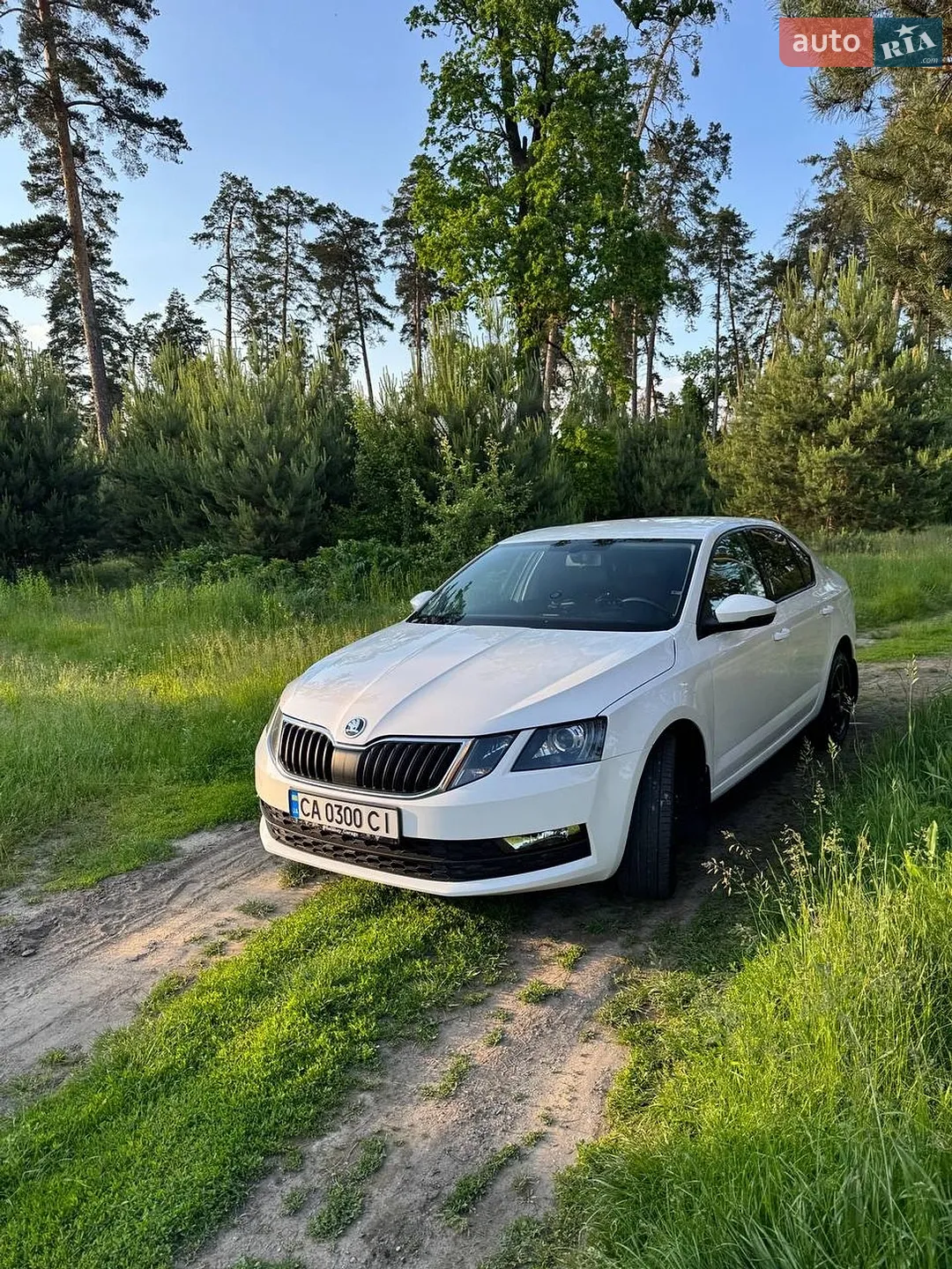 Skoda Octavia, 2017