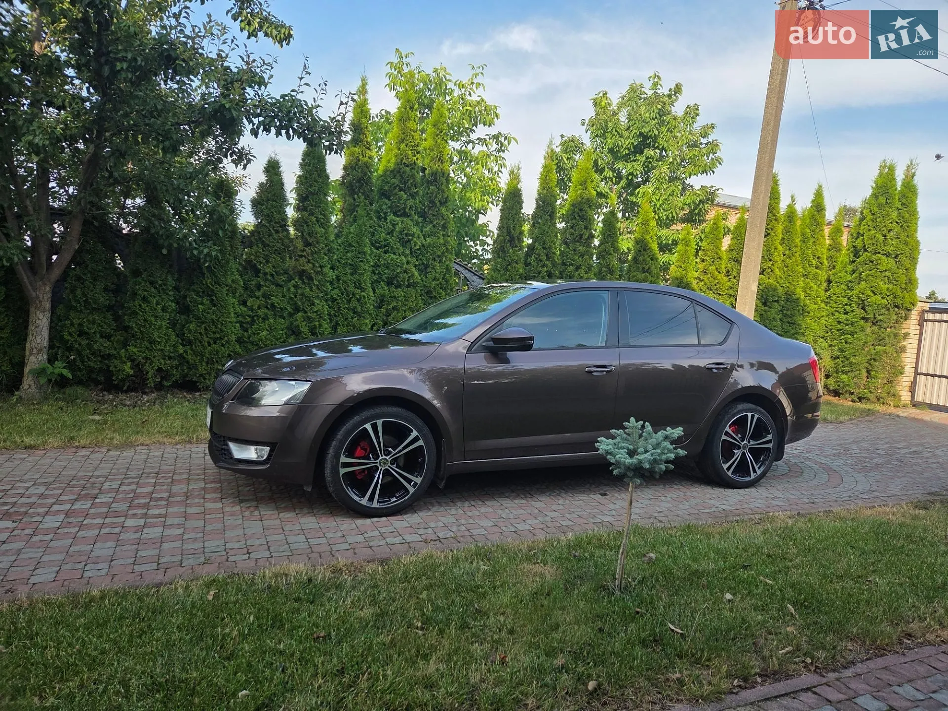 Skoda Octavia, 2014