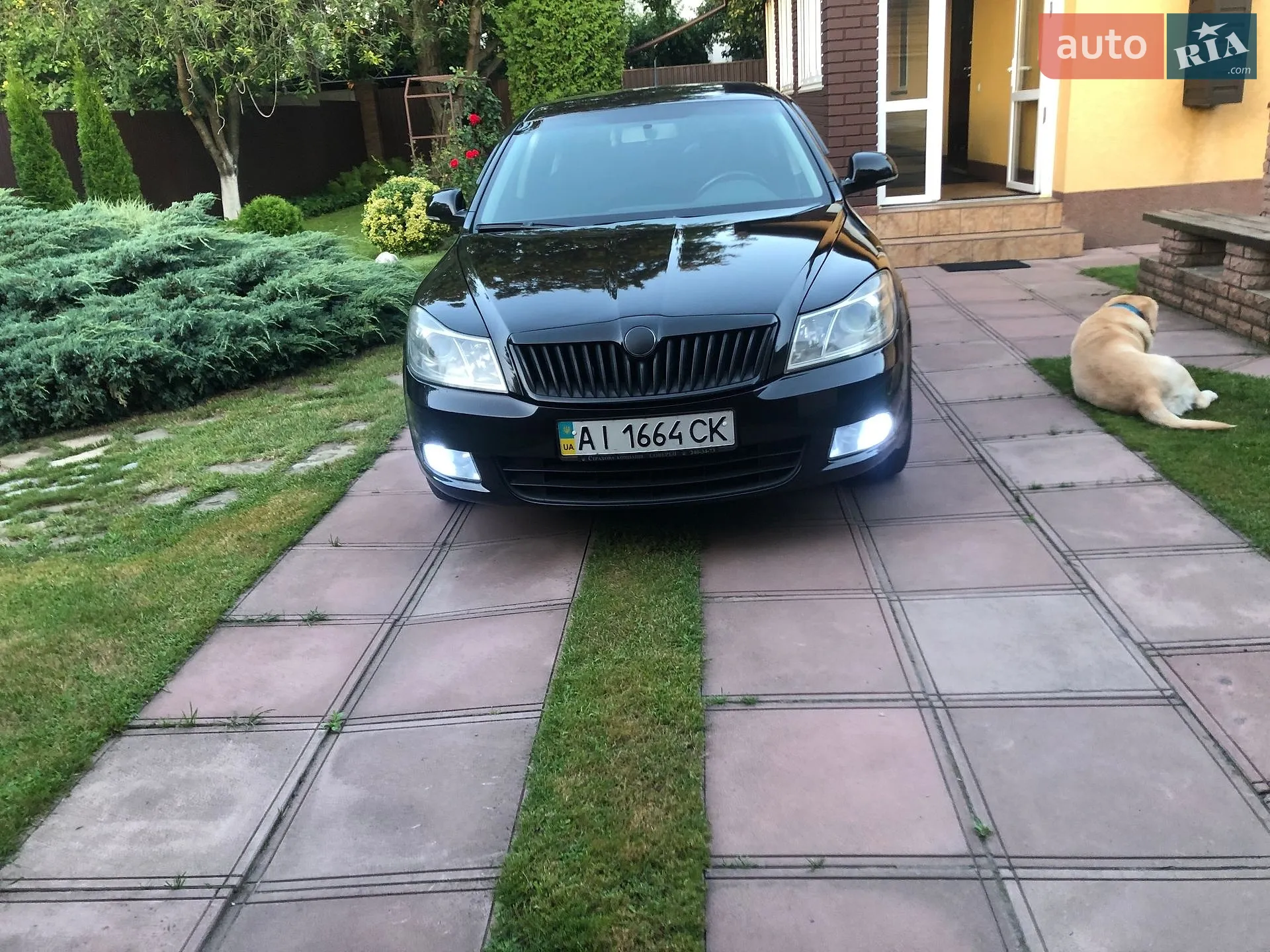 Skoda Octavia, 2009